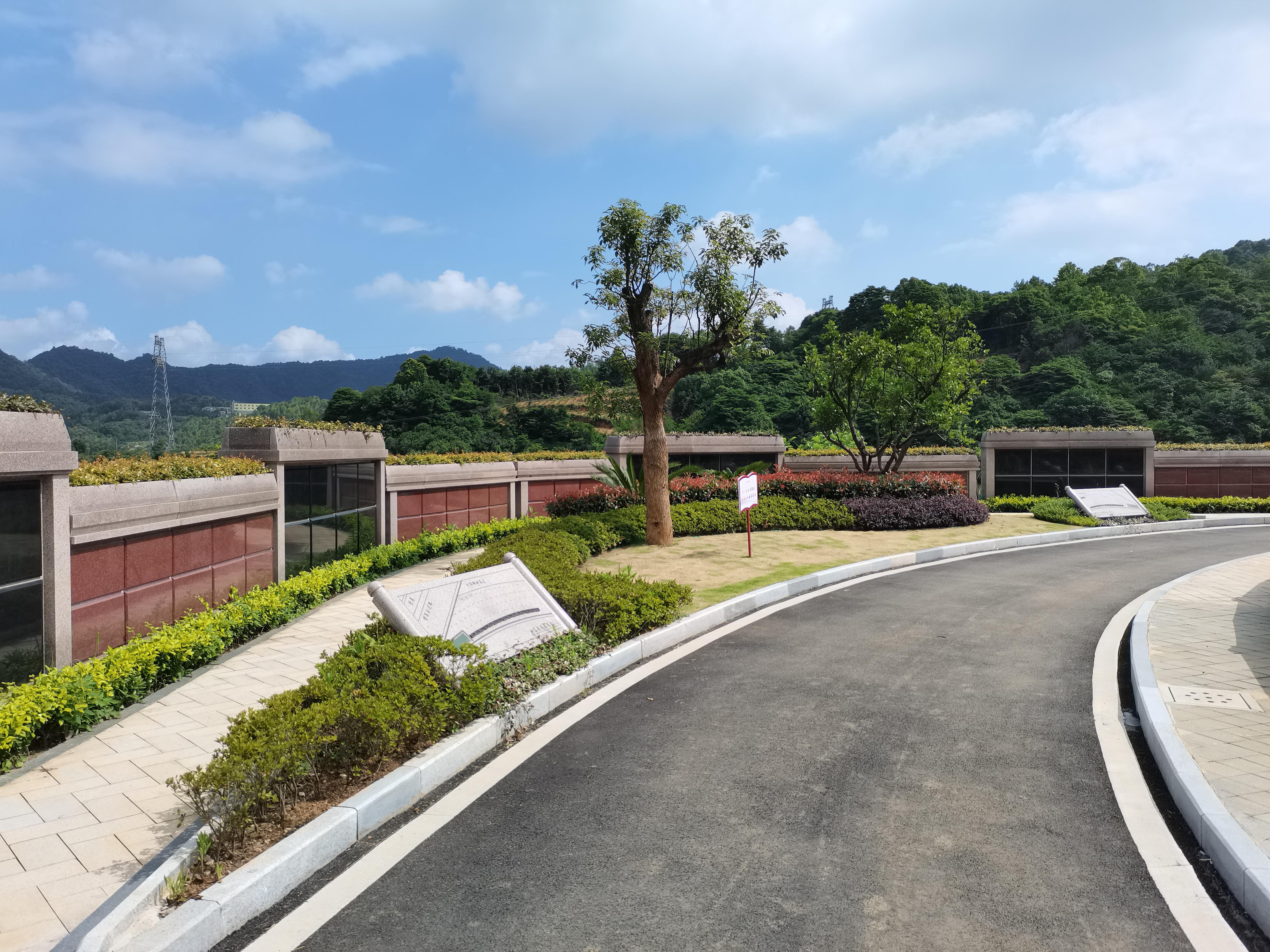 海葬和树葬哪个好？两种生态葬祭方式的选择与意思