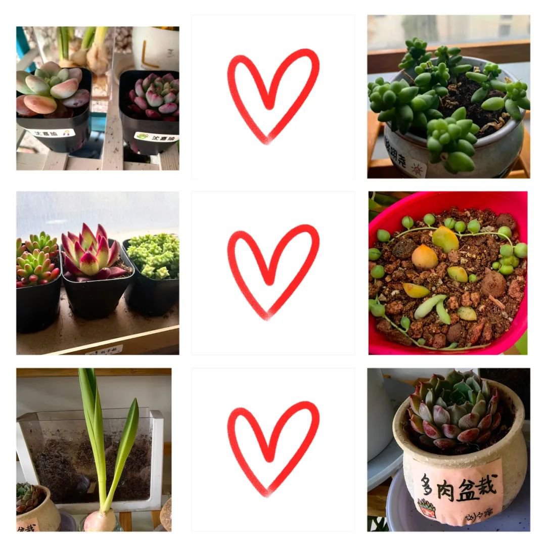 壹号娱乐 - NG大舞台,有梦你就来