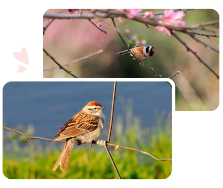 壹号娱乐 - NG大舞台,有梦你就来