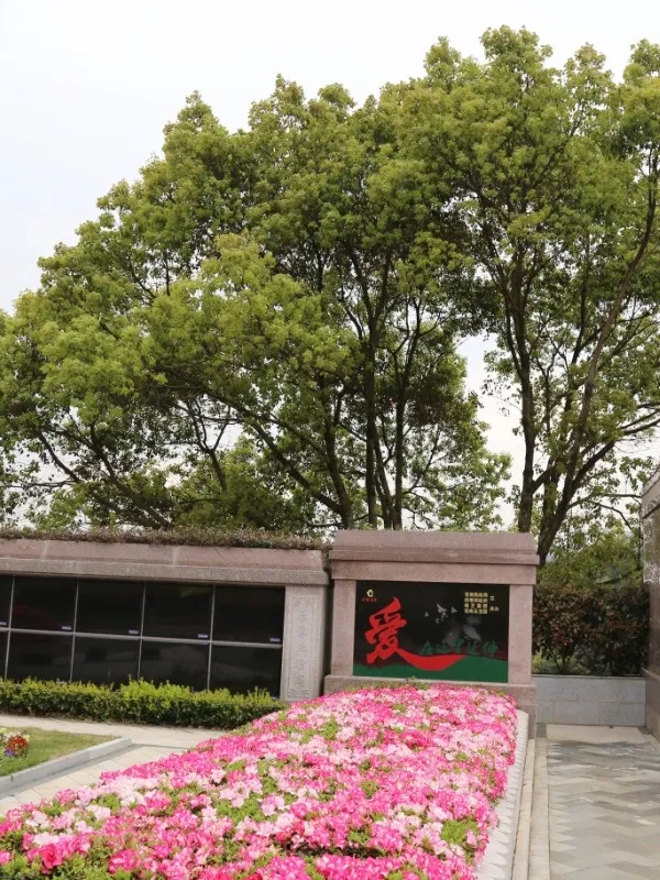 壹号娱乐 - NG大舞台,有梦你就来