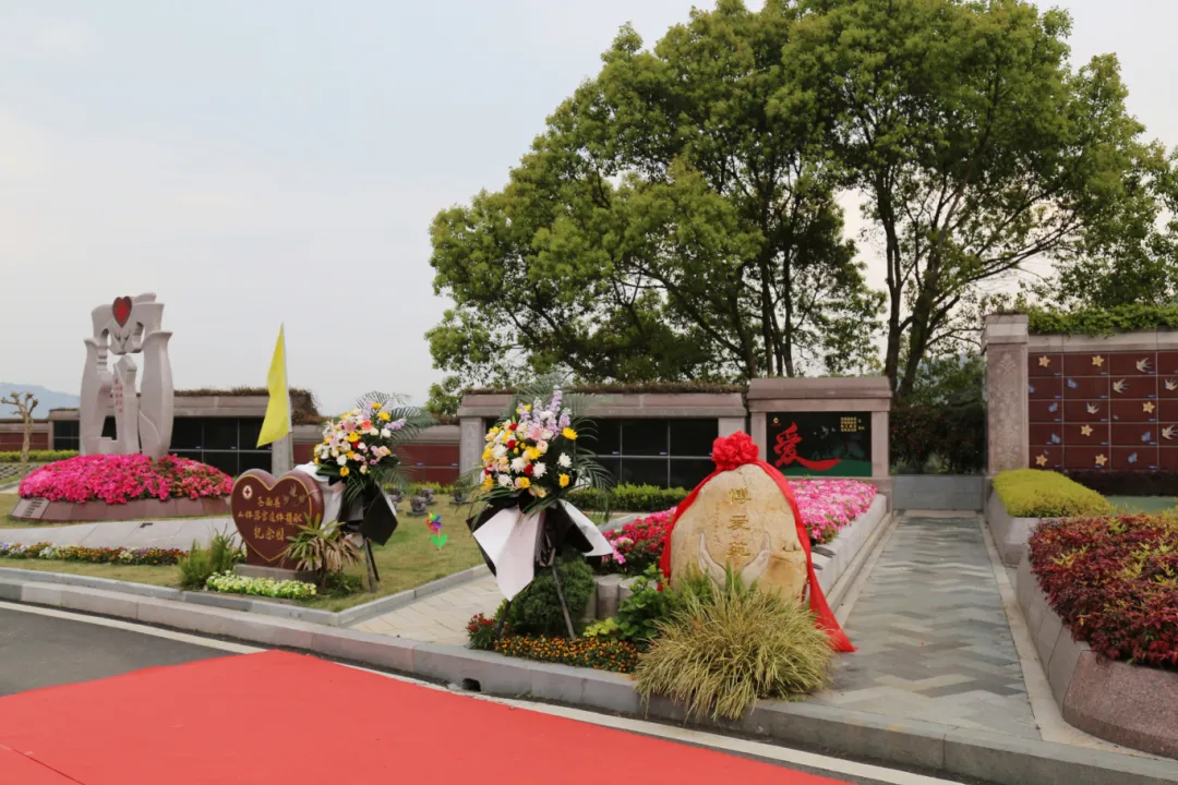 壹号娱乐 - NG大舞台,有梦你就来