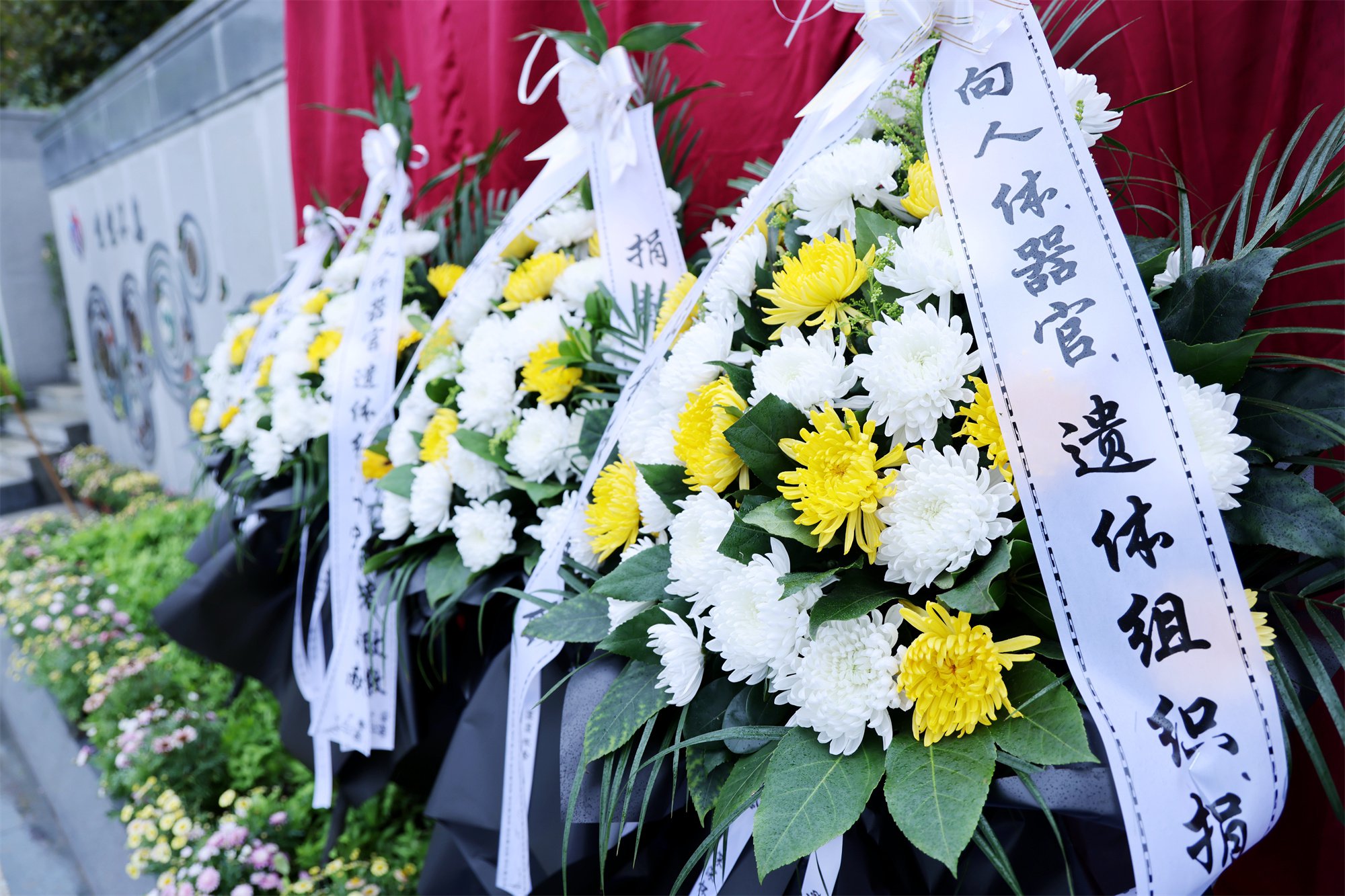 壹号娱乐 - NG大舞台,有梦你就来