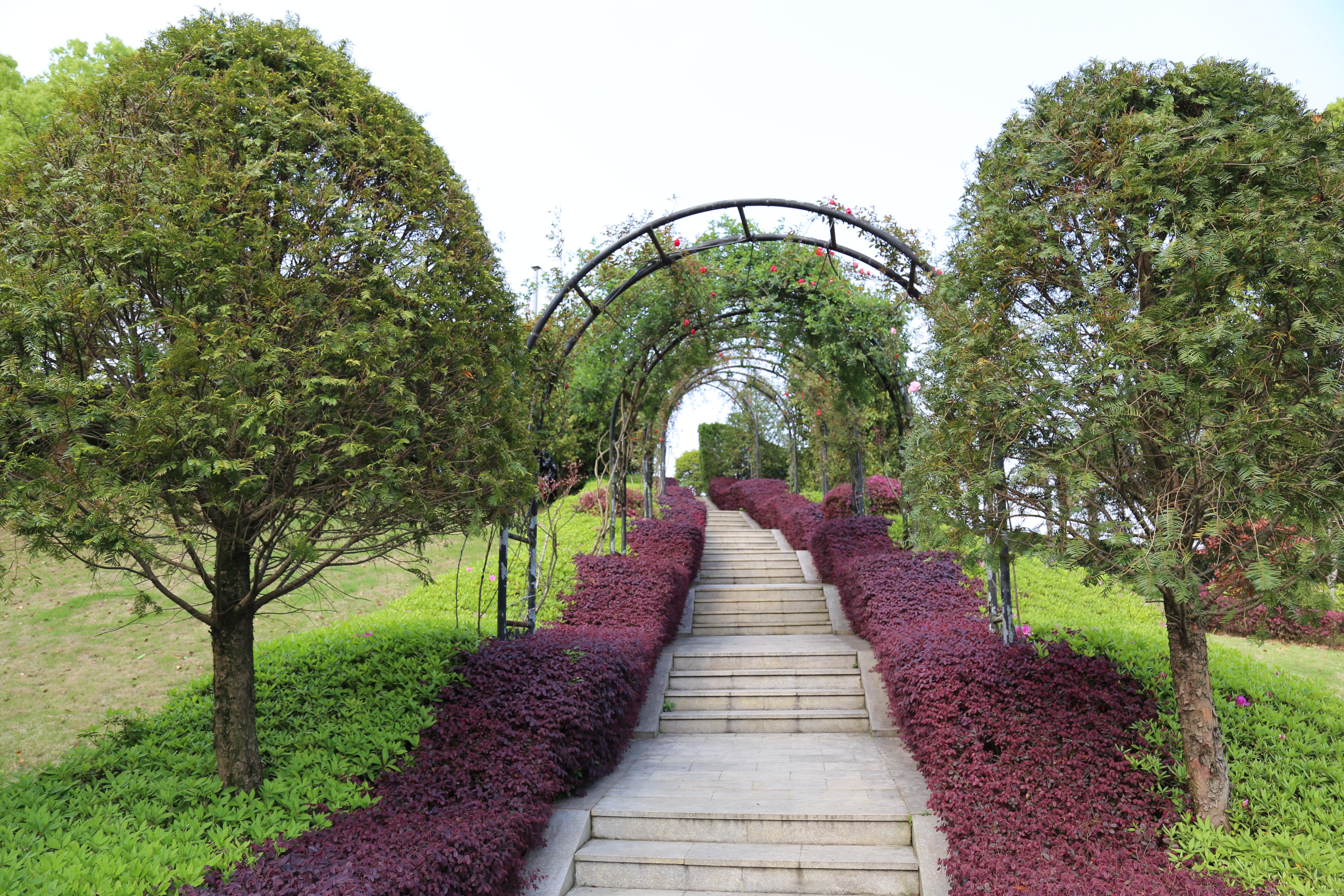 壹号娱乐 - NG大舞台,有梦你就来