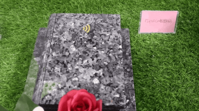 壹号娱乐 - NG大舞台,有梦你就来