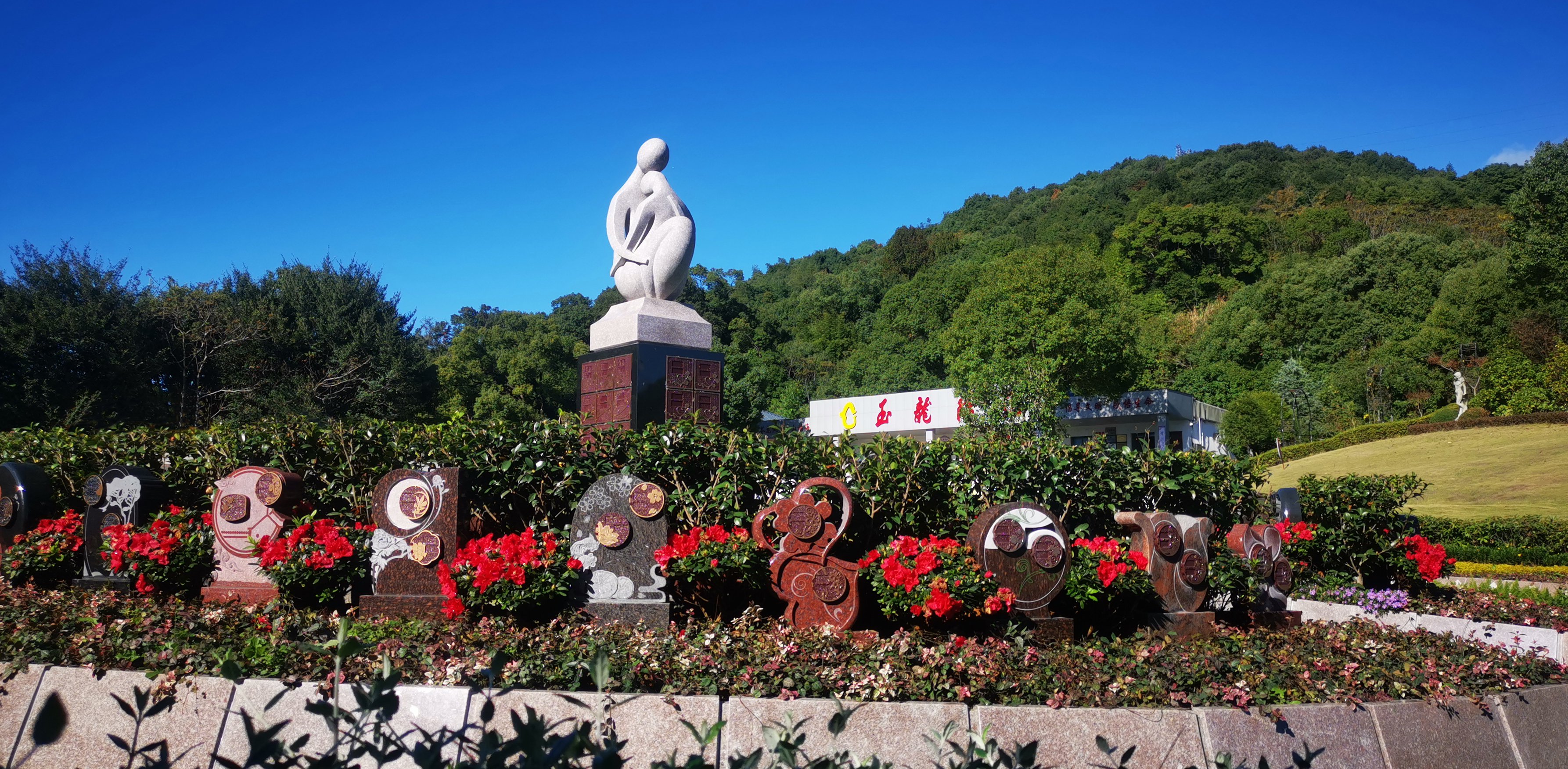 将来，生态葬或将成为主流