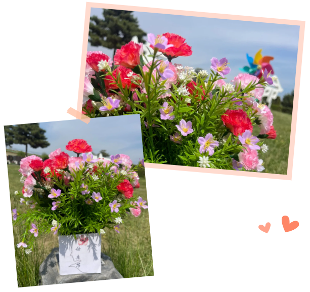 壹号娱乐 - NG大舞台,有梦你就来