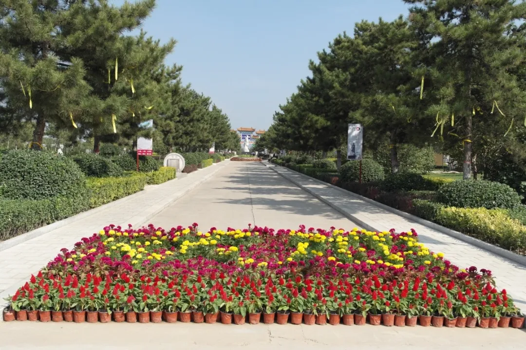 壹号娱乐 - NG大舞台,有梦你就来