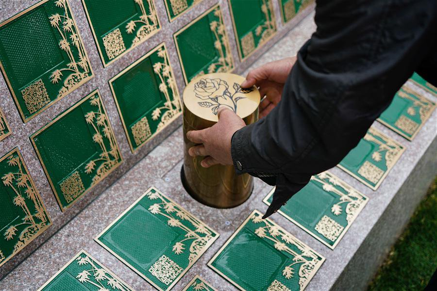 壹号娱乐 - NG大舞台,有梦你就来