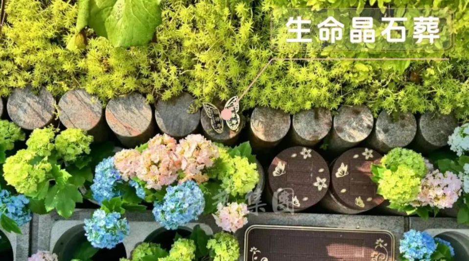 壹号娱乐 - NG大舞台,有梦你就来