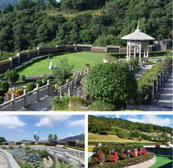 壹号娱乐 - NG大舞台,有梦你就来