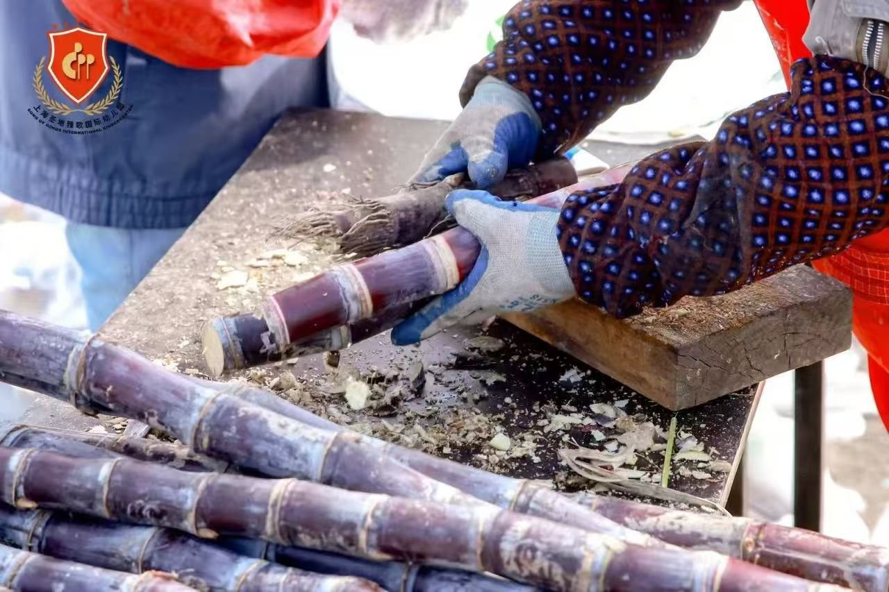 壹号娱乐 - NG大舞台,有梦你就来