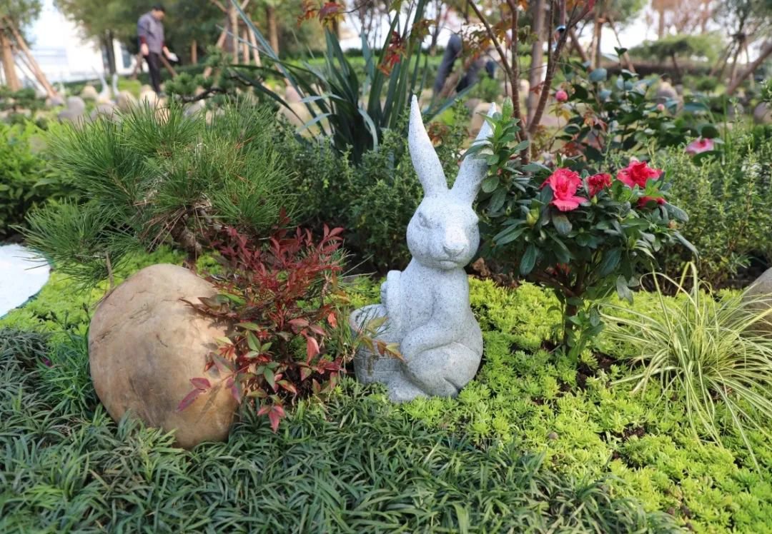 壹号娱乐 - NG大舞台,有梦你就来