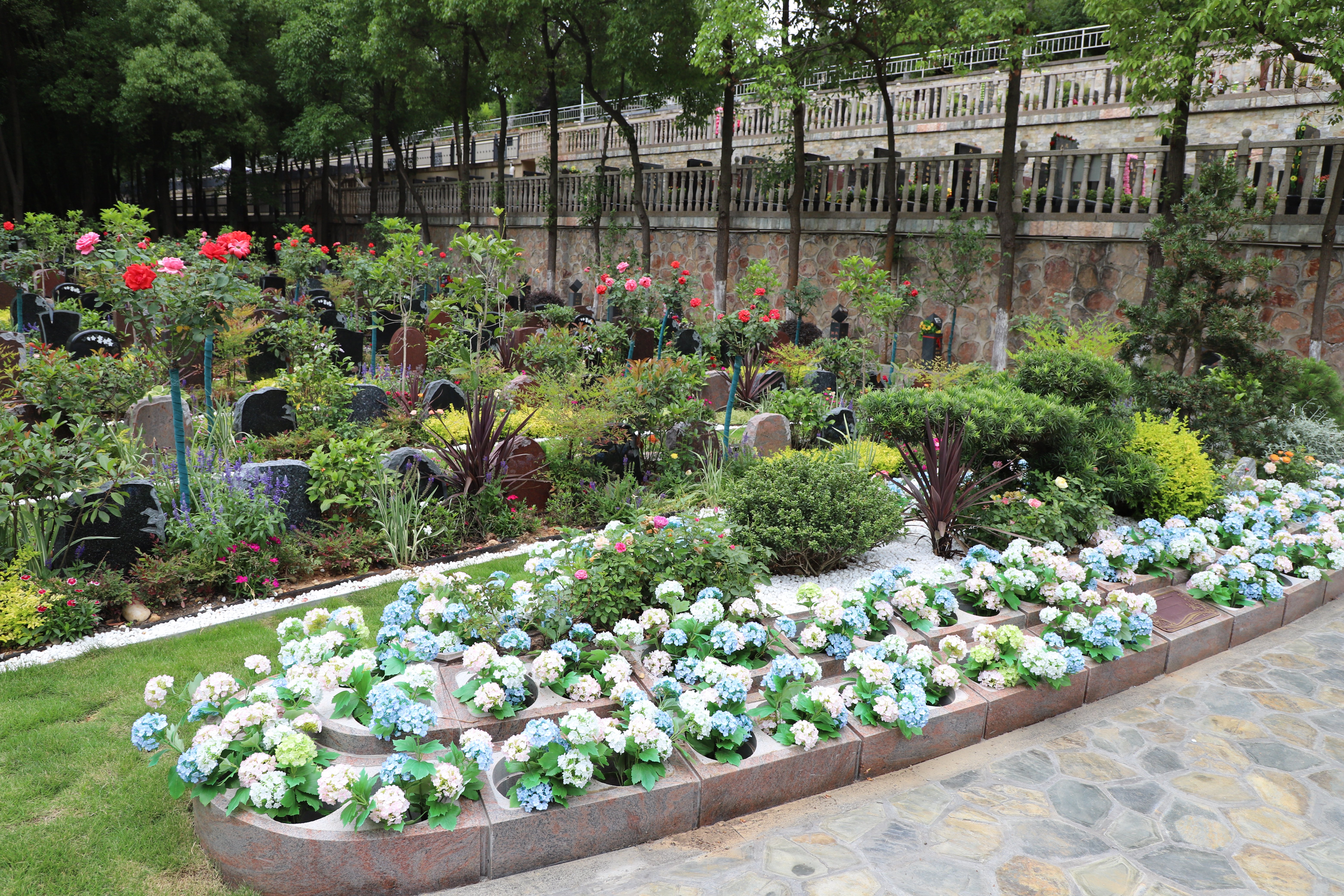 壹号娱乐 - NG大舞台,有梦你就来