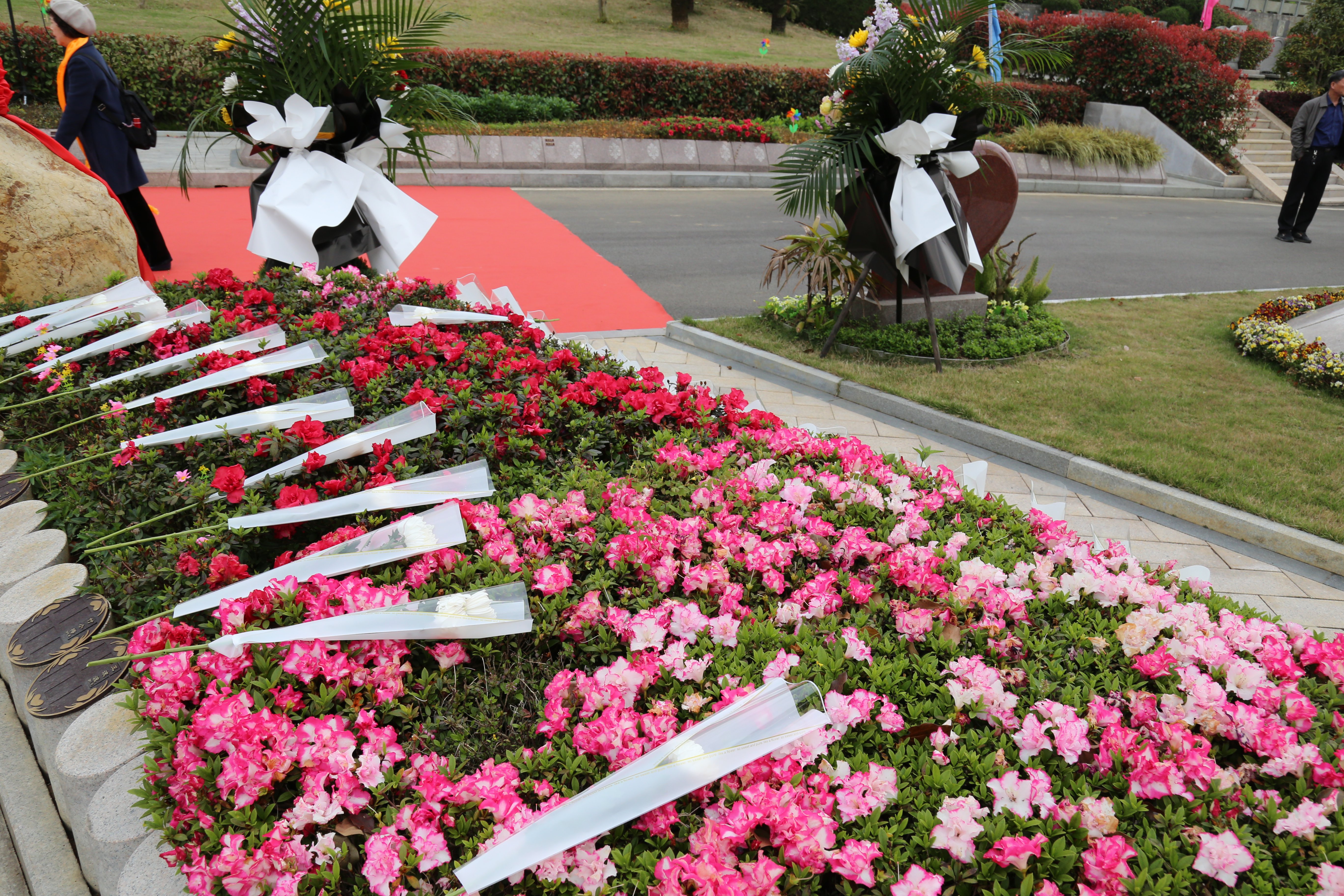 壹号娱乐 - NG大舞台,有梦你就来