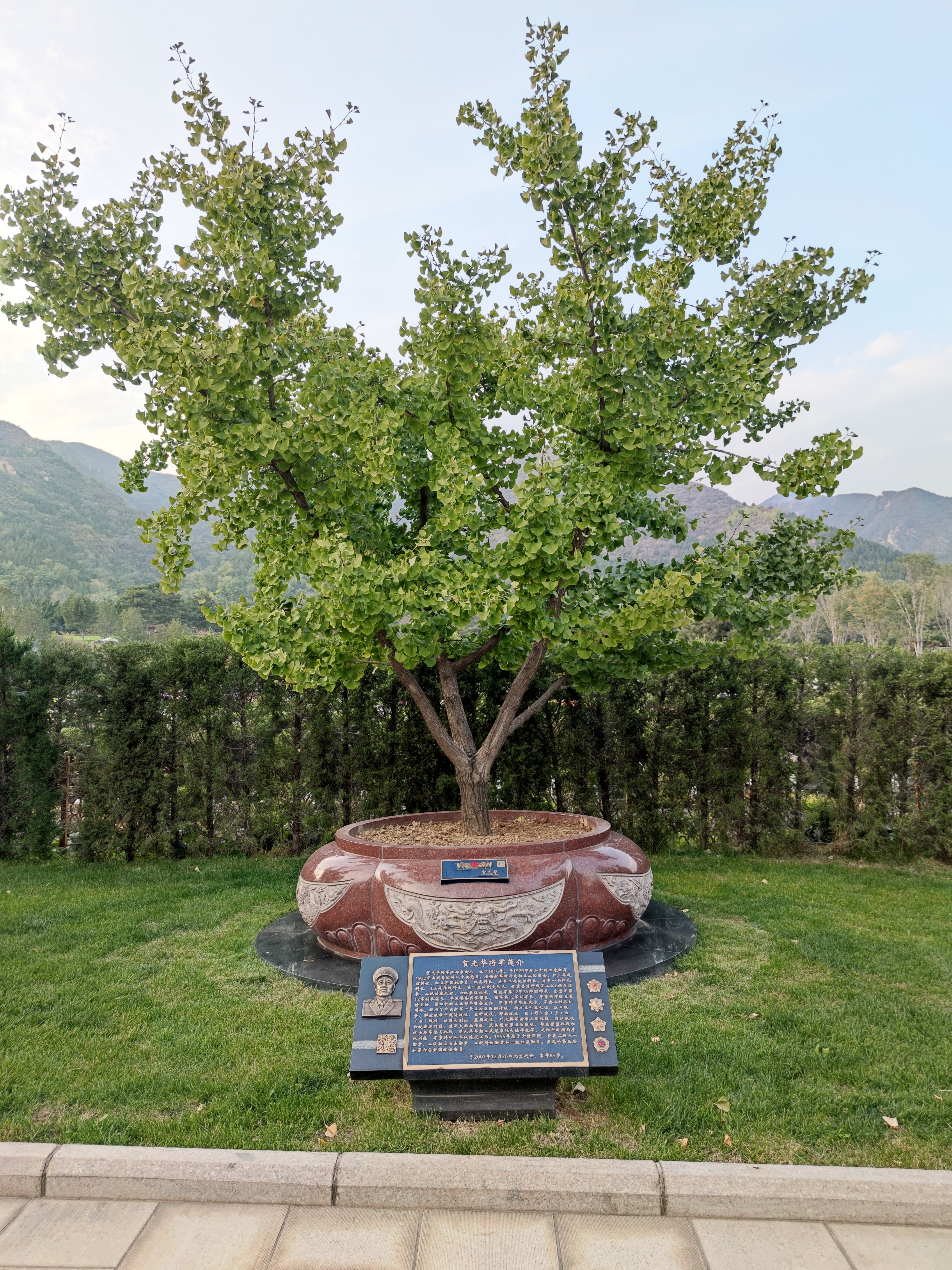 壹号娱乐 - NG大舞台,有梦你就来