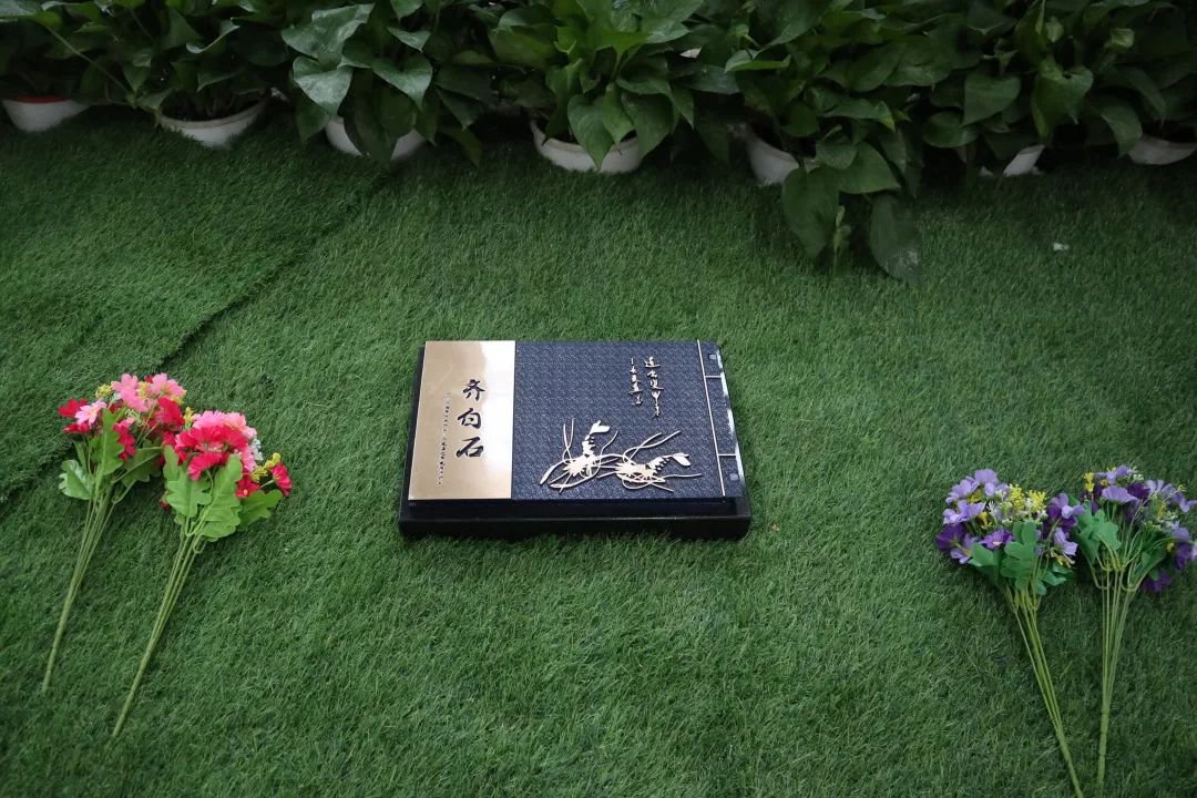 壹号娱乐 - NG大舞台,有梦你就来