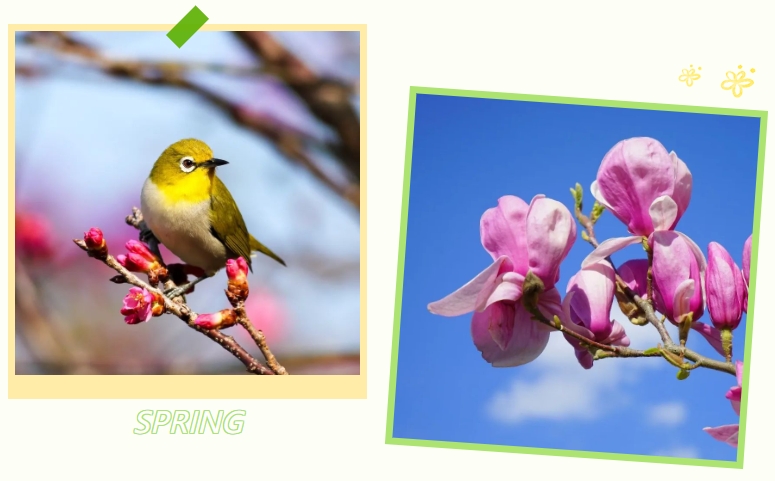 壹号娱乐 - NG大舞台,有梦你就来