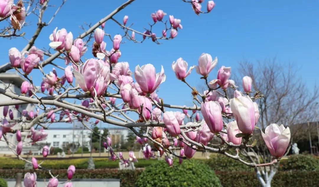 壹号娱乐 - NG大舞台,有梦你就来