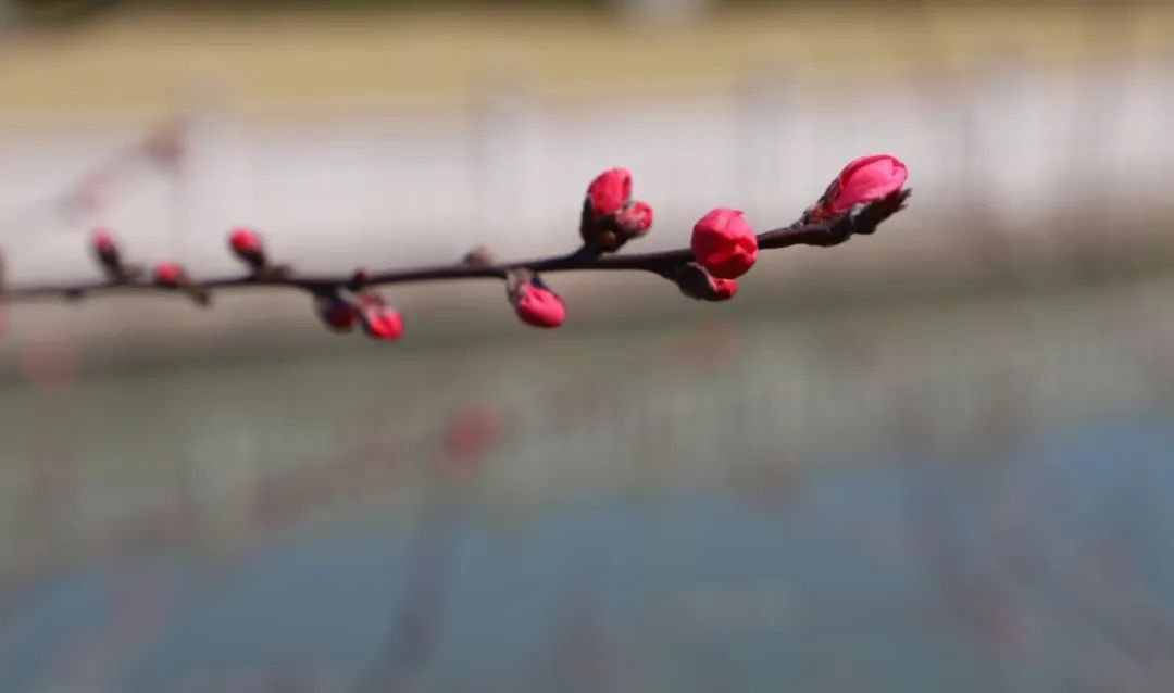 壹号娱乐 - NG大舞台,有梦你就来