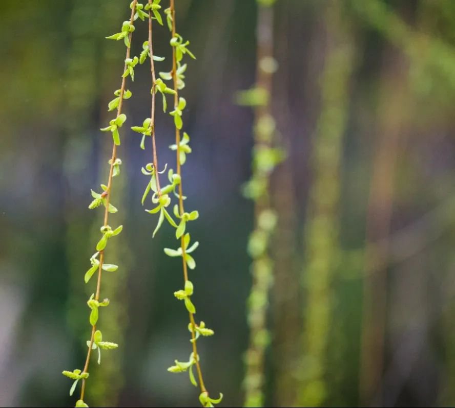 壹号娱乐 - NG大舞台,有梦你就来
