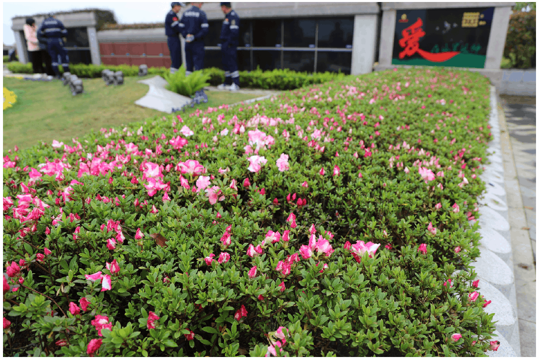 壹号娱乐 - NG大舞台,有梦你就来