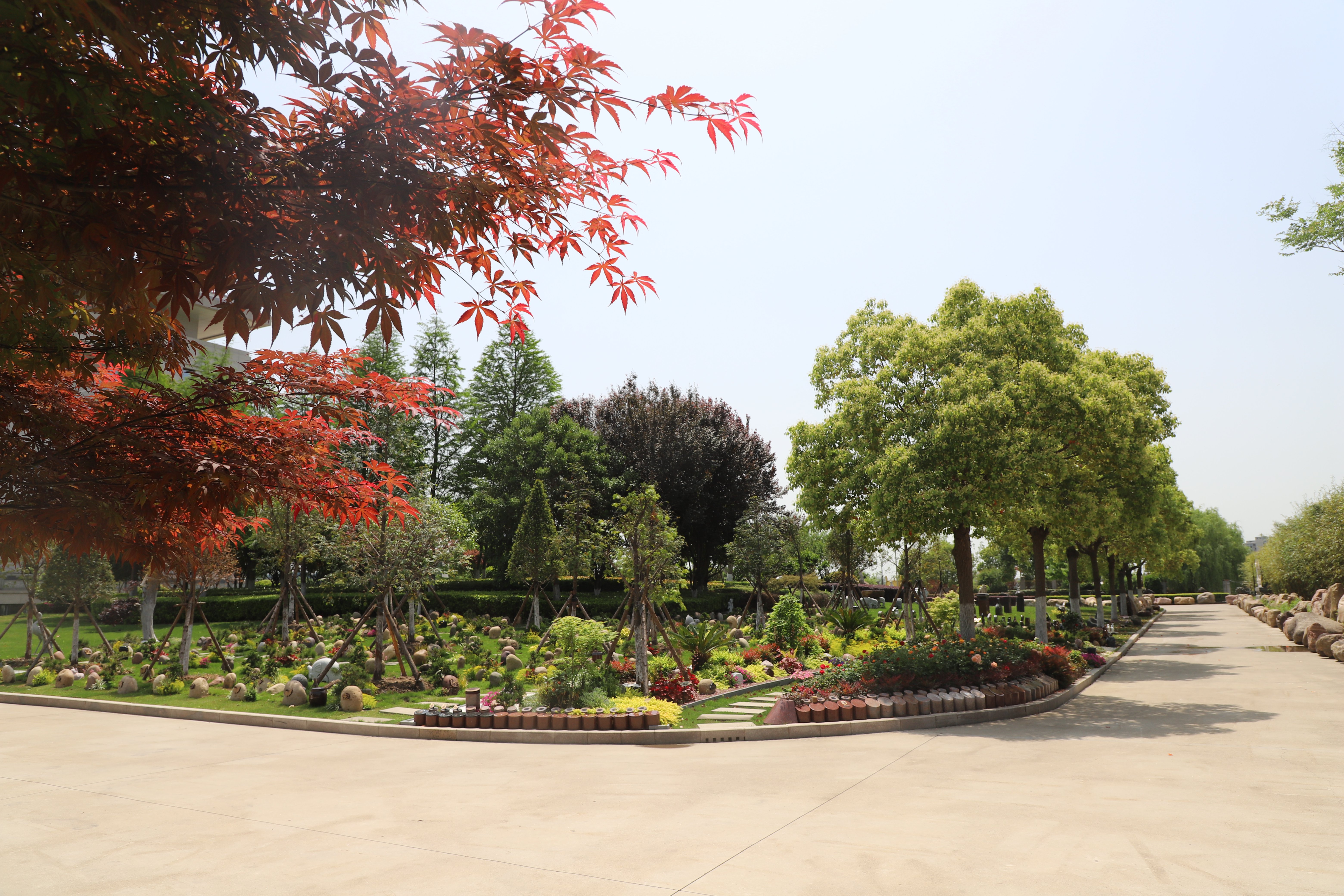 壹号娱乐 - NG大舞台,有梦你就来