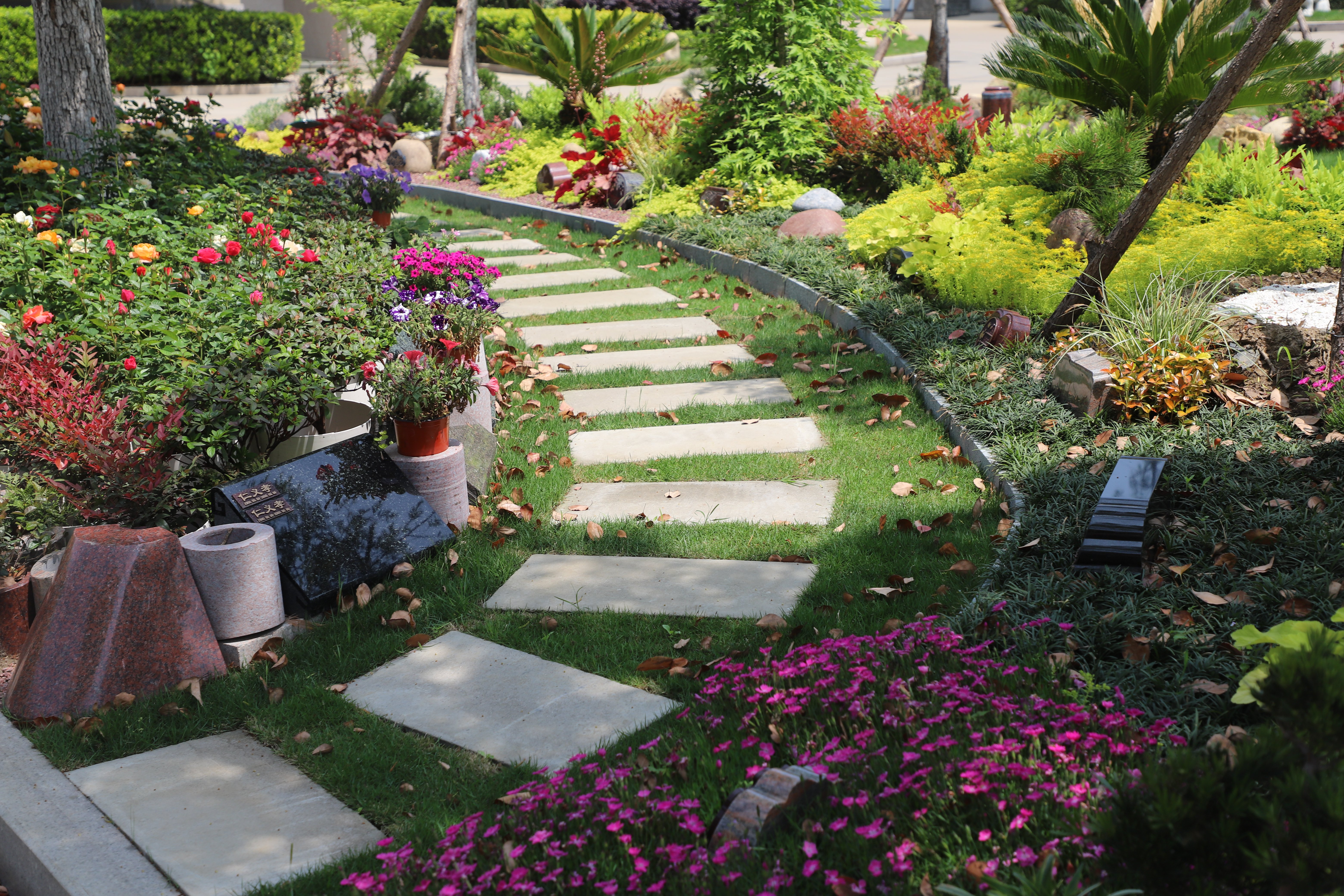 壹号娱乐 - NG大舞台,有梦你就来