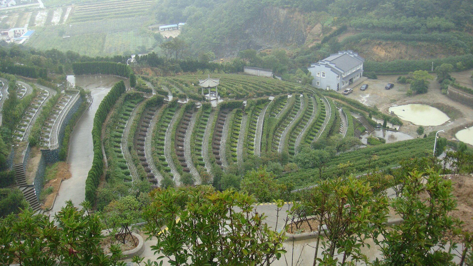 壹号娱乐 - NG大舞台,有梦你就来