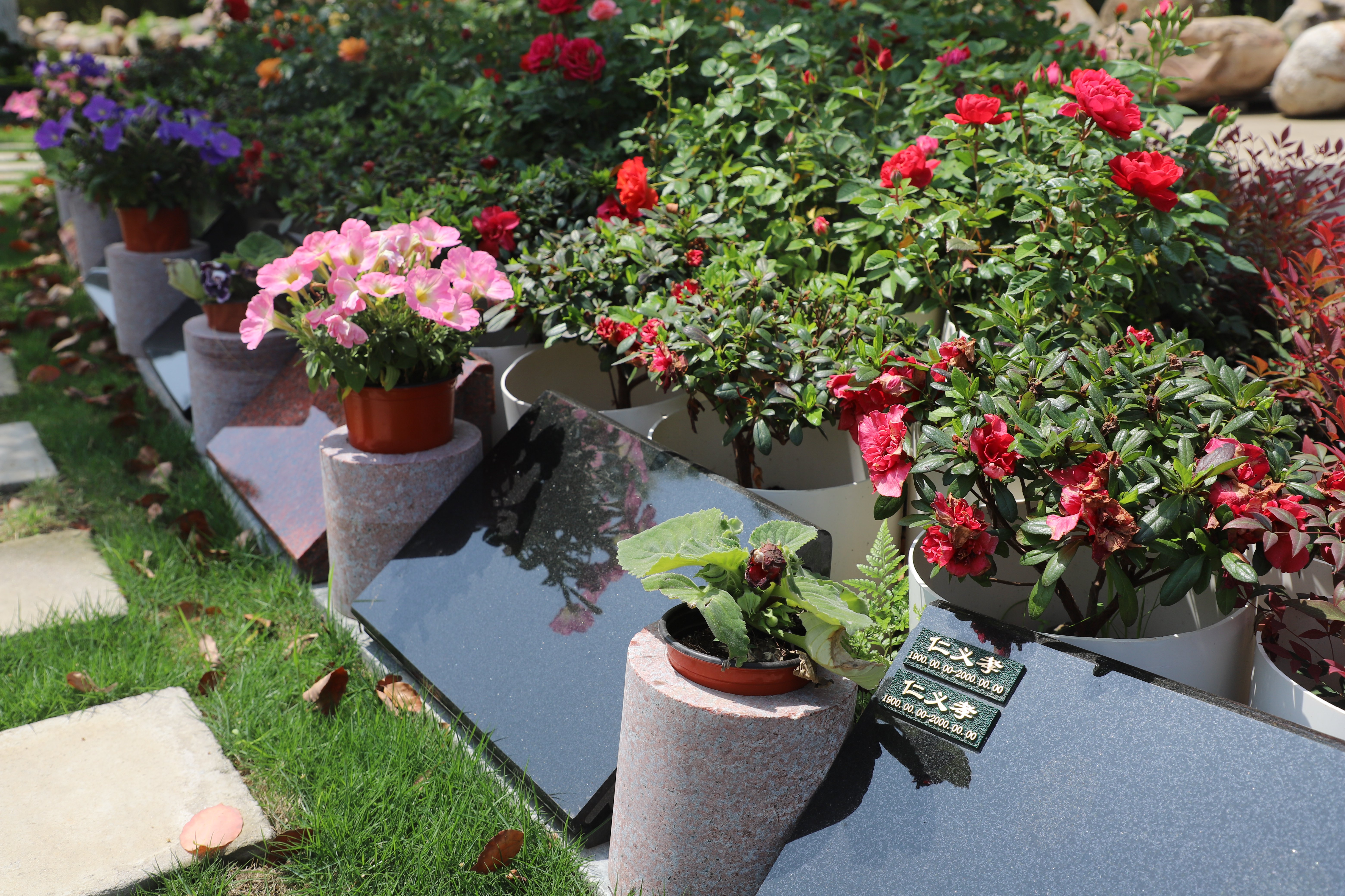 壹号娱乐 - NG大舞台,有梦你就来