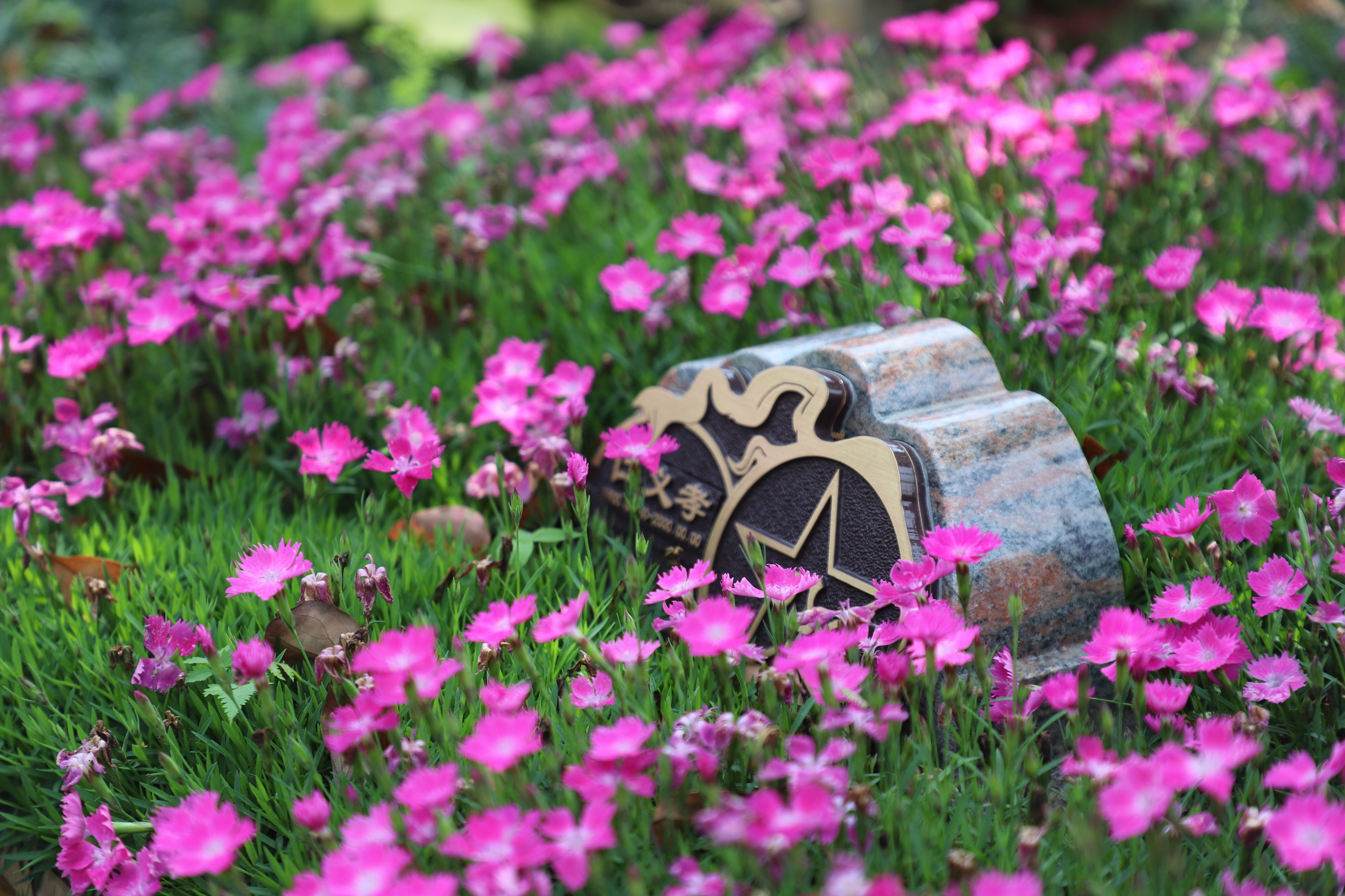 壹号娱乐 - NG大舞台,有梦你就来