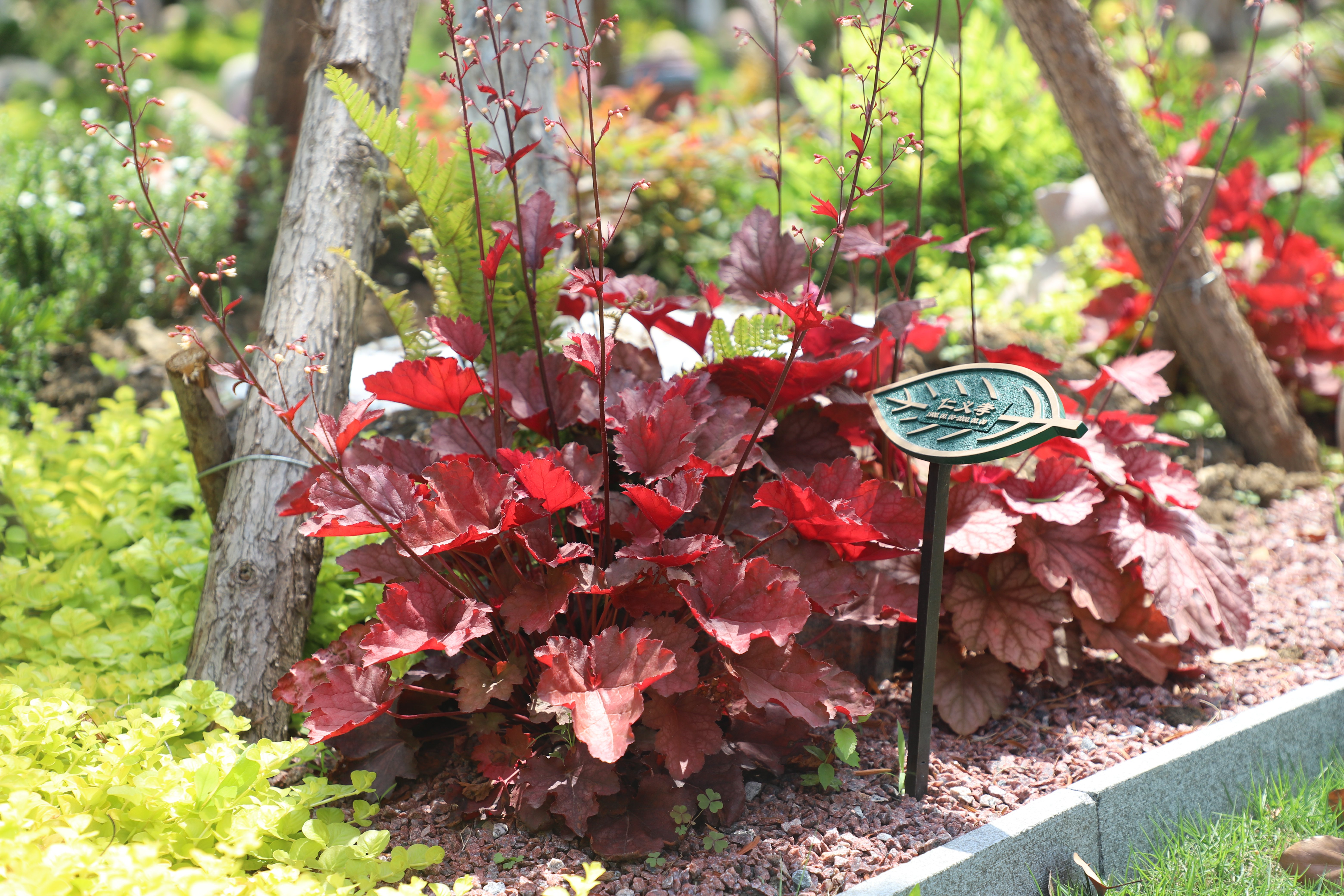 壹号娱乐 - NG大舞台,有梦你就来