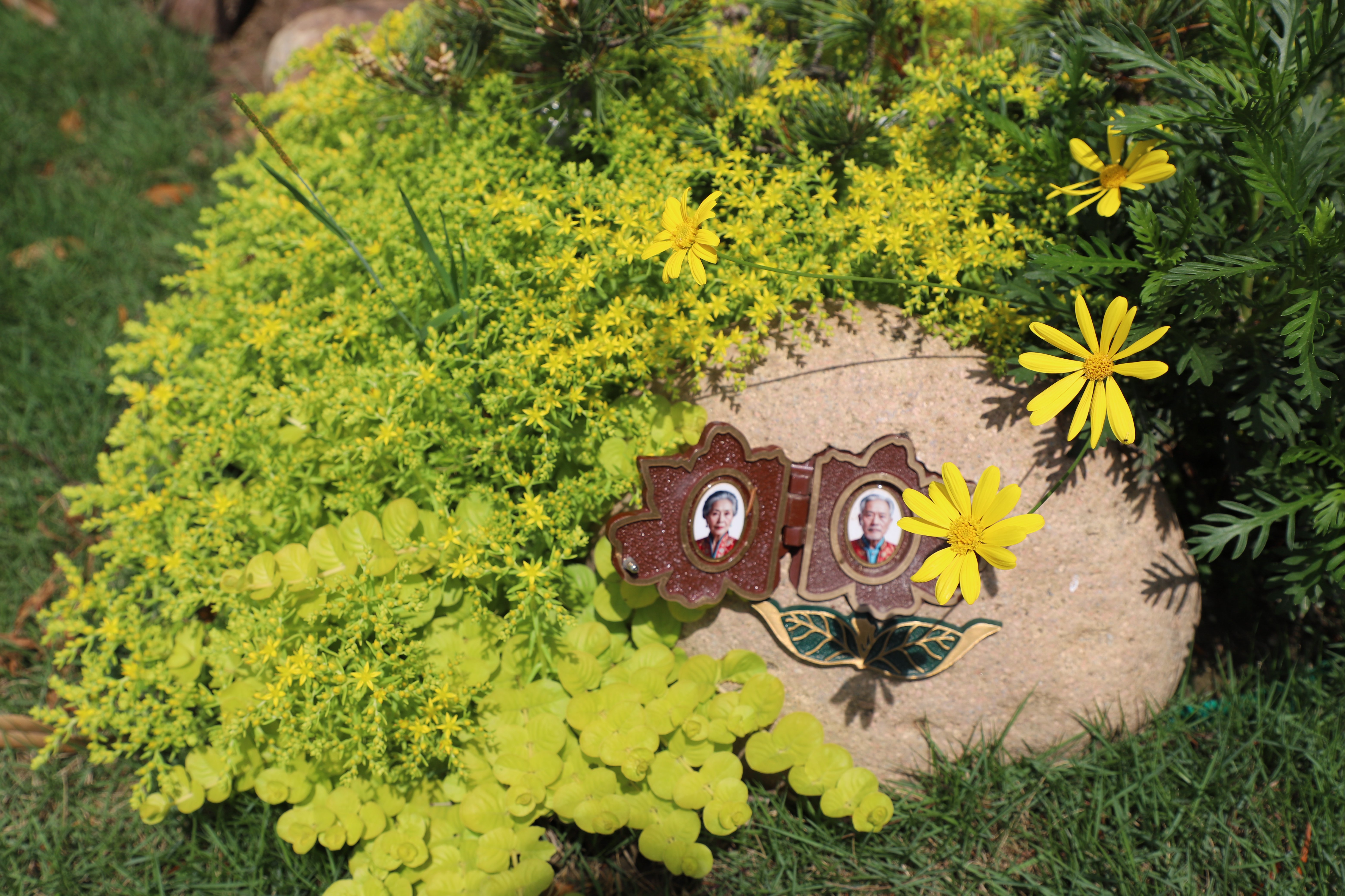 壹号娱乐 - NG大舞台,有梦你就来