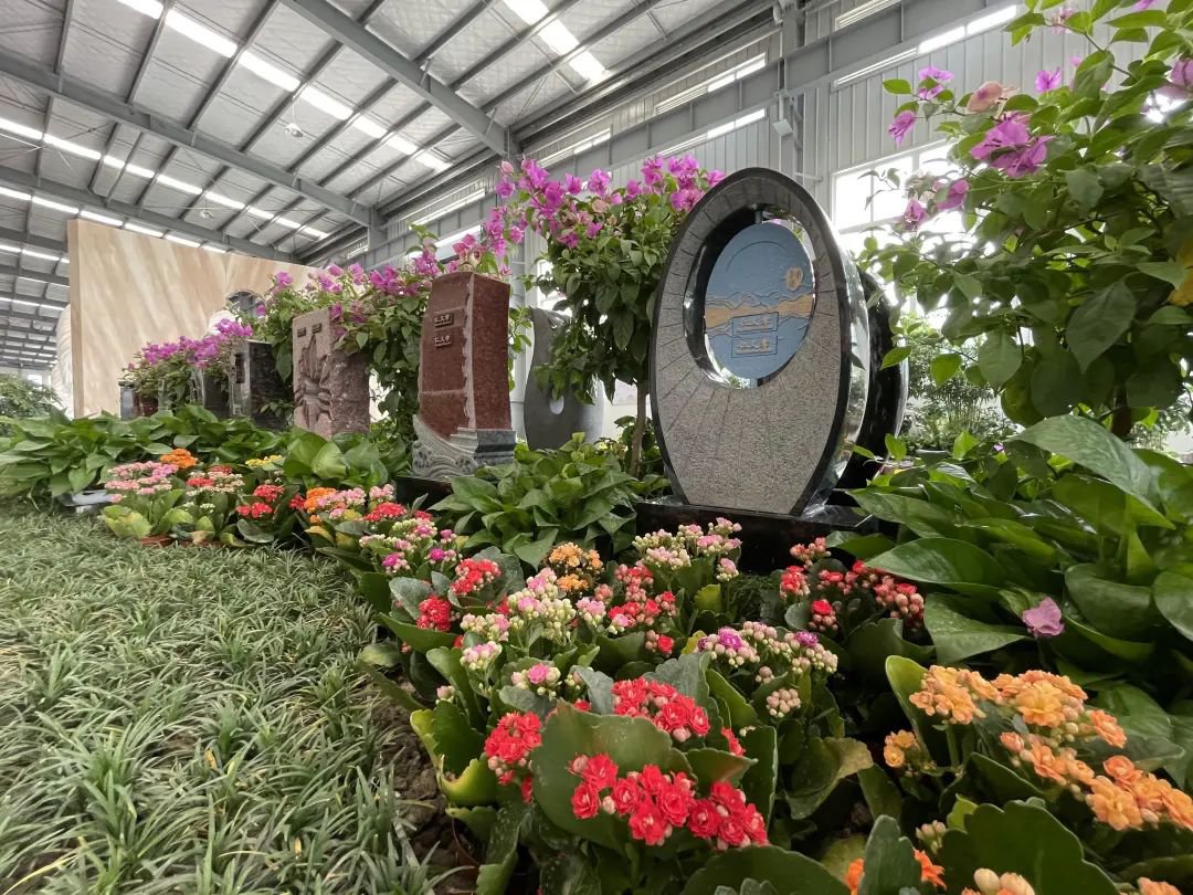 壹号娱乐 - NG大舞台,有梦你就来