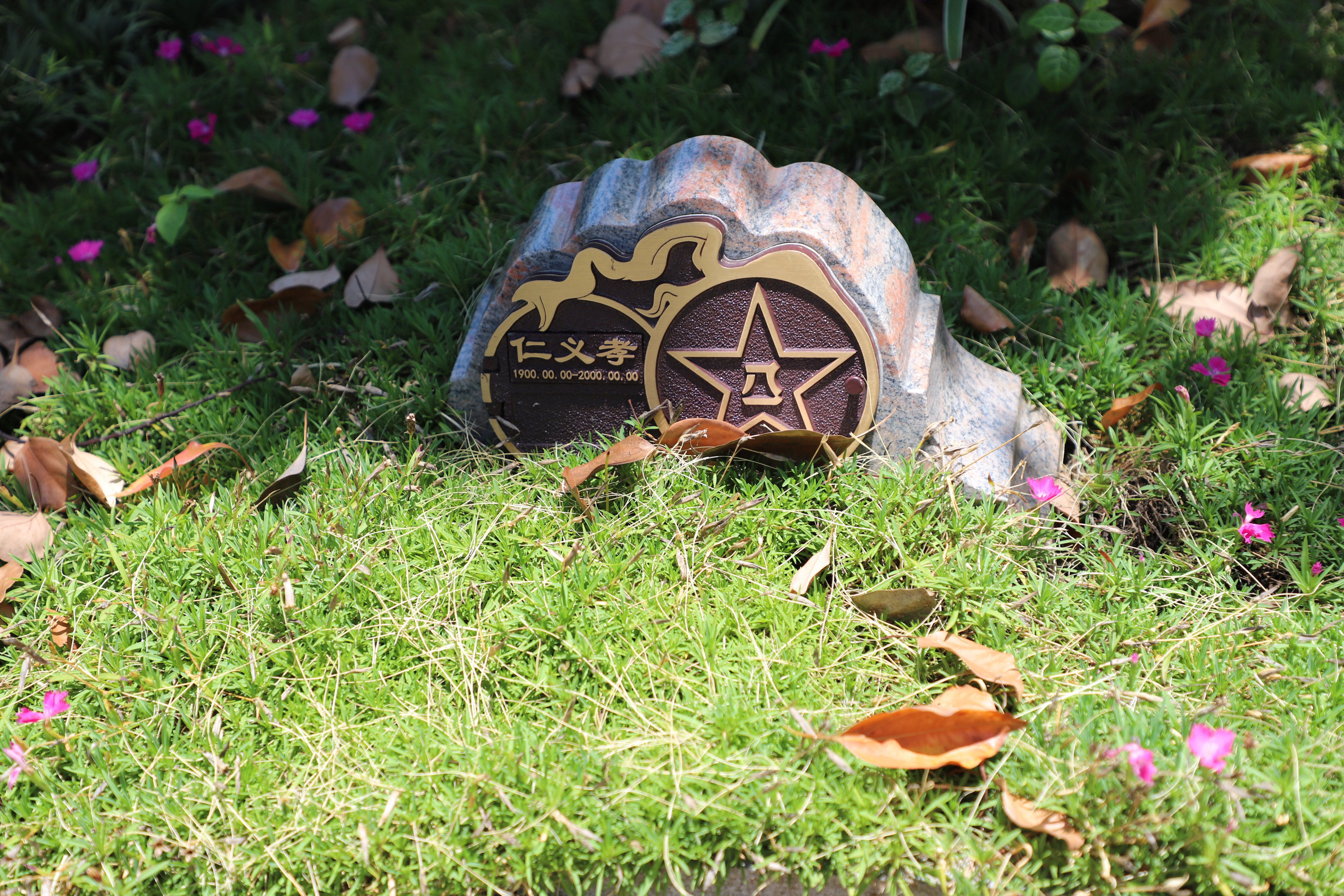 壹号娱乐 - NG大舞台,有梦你就来