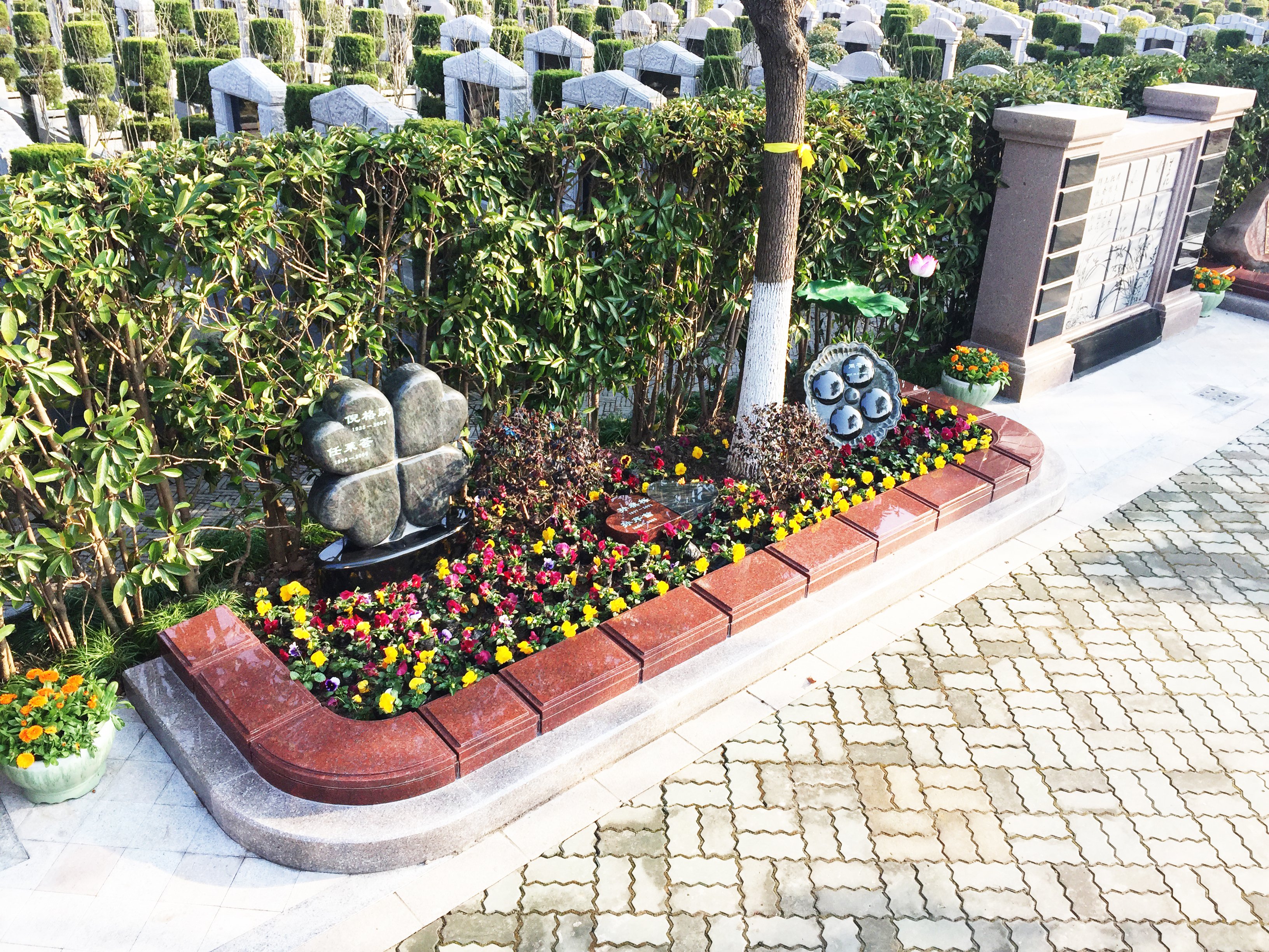 壹号娱乐 - NG大舞台,有梦你就来