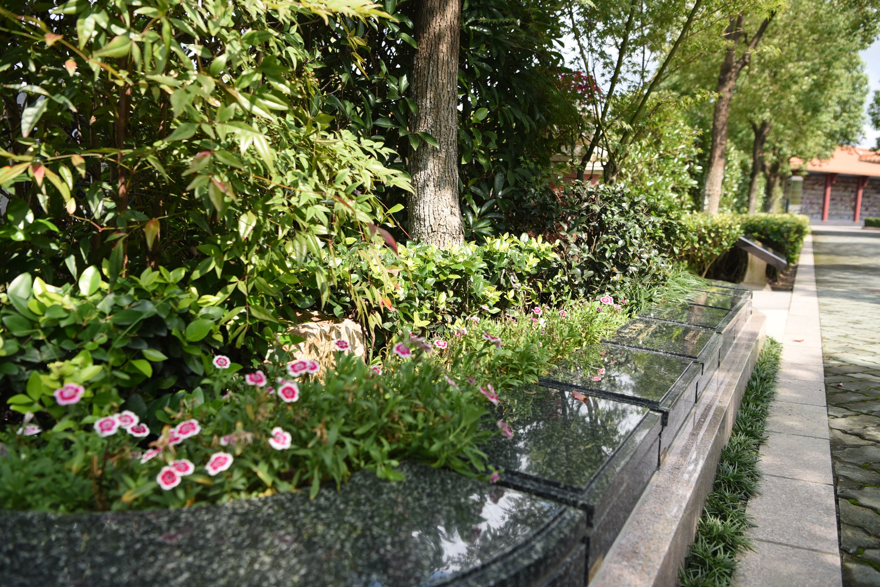 壹号娱乐 - NG大舞台,有梦你就来