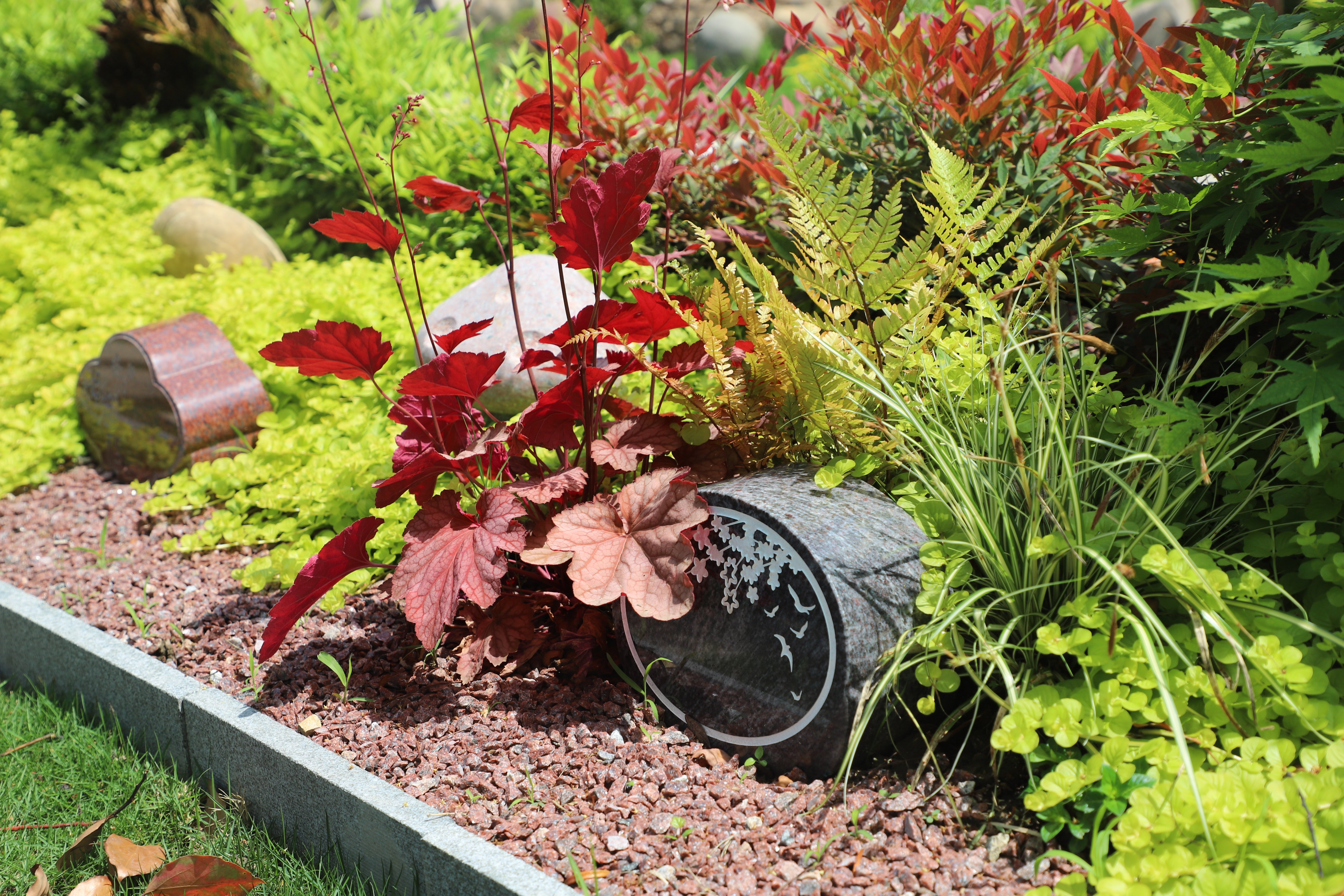 壹号娱乐 - NG大舞台,有梦你就来