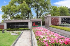 归于天然，泽被后世：解读现代生态葬及其创新趋向