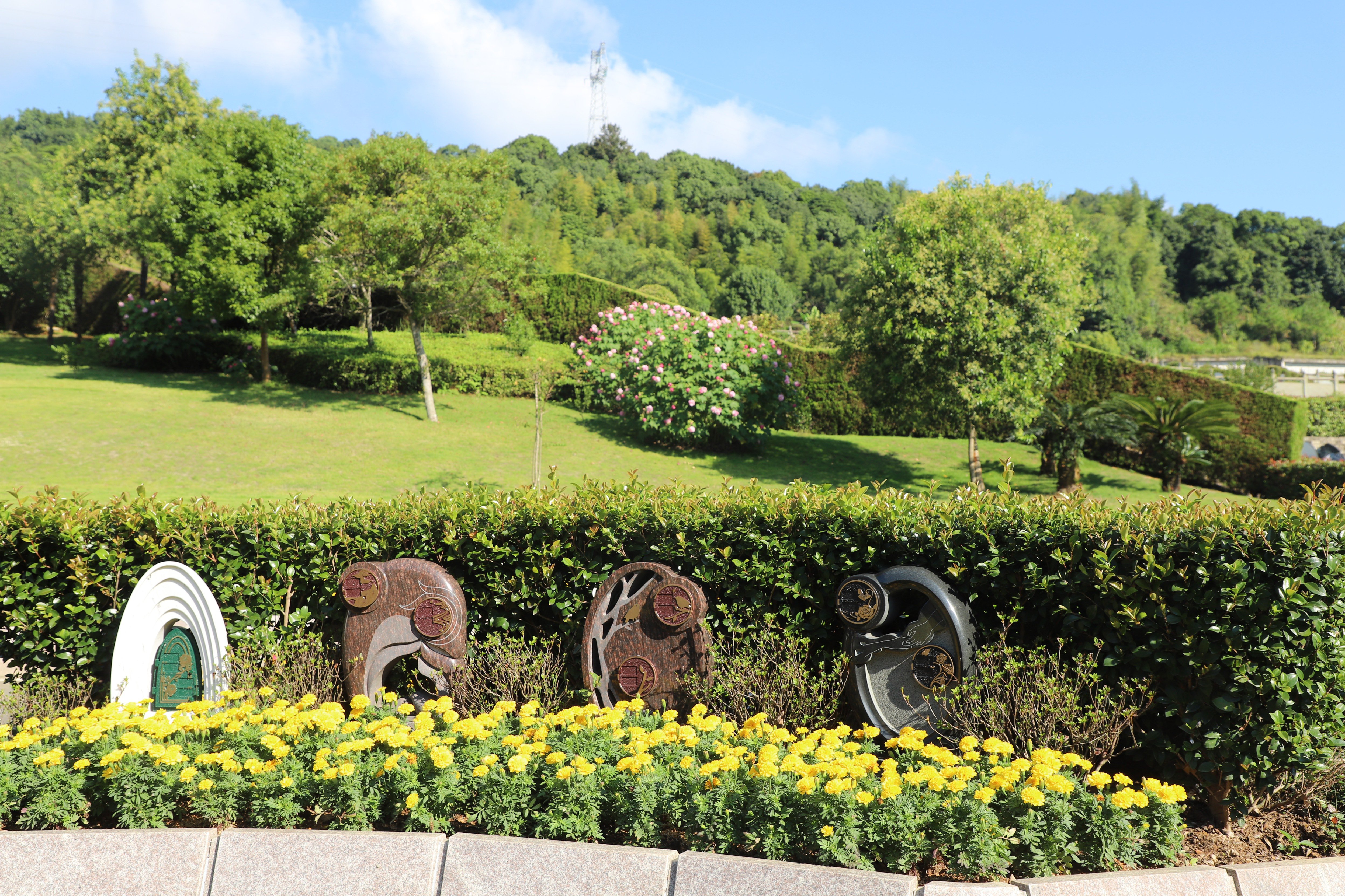 壹号娱乐 - NG大舞台,有梦你就来