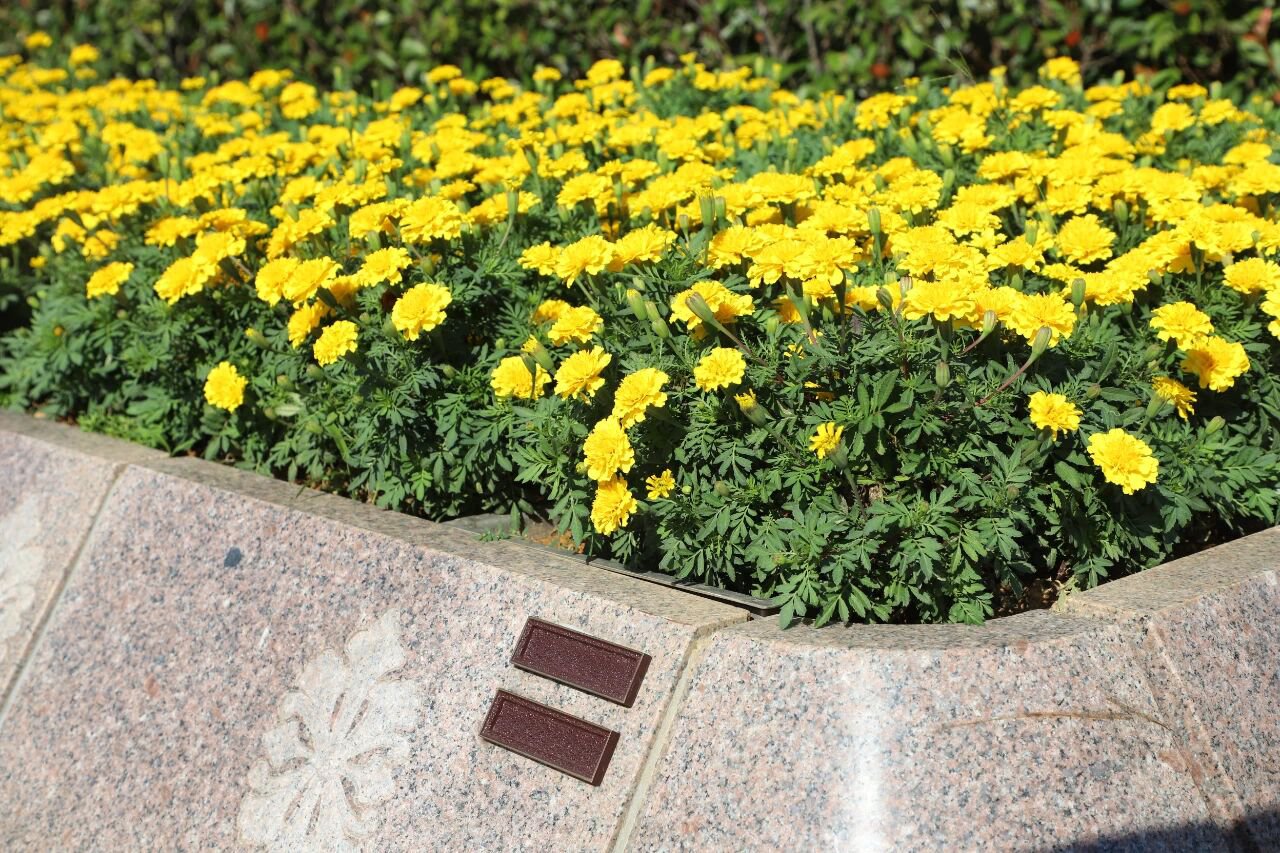 壹号娱乐 - NG大舞台,有梦你就来