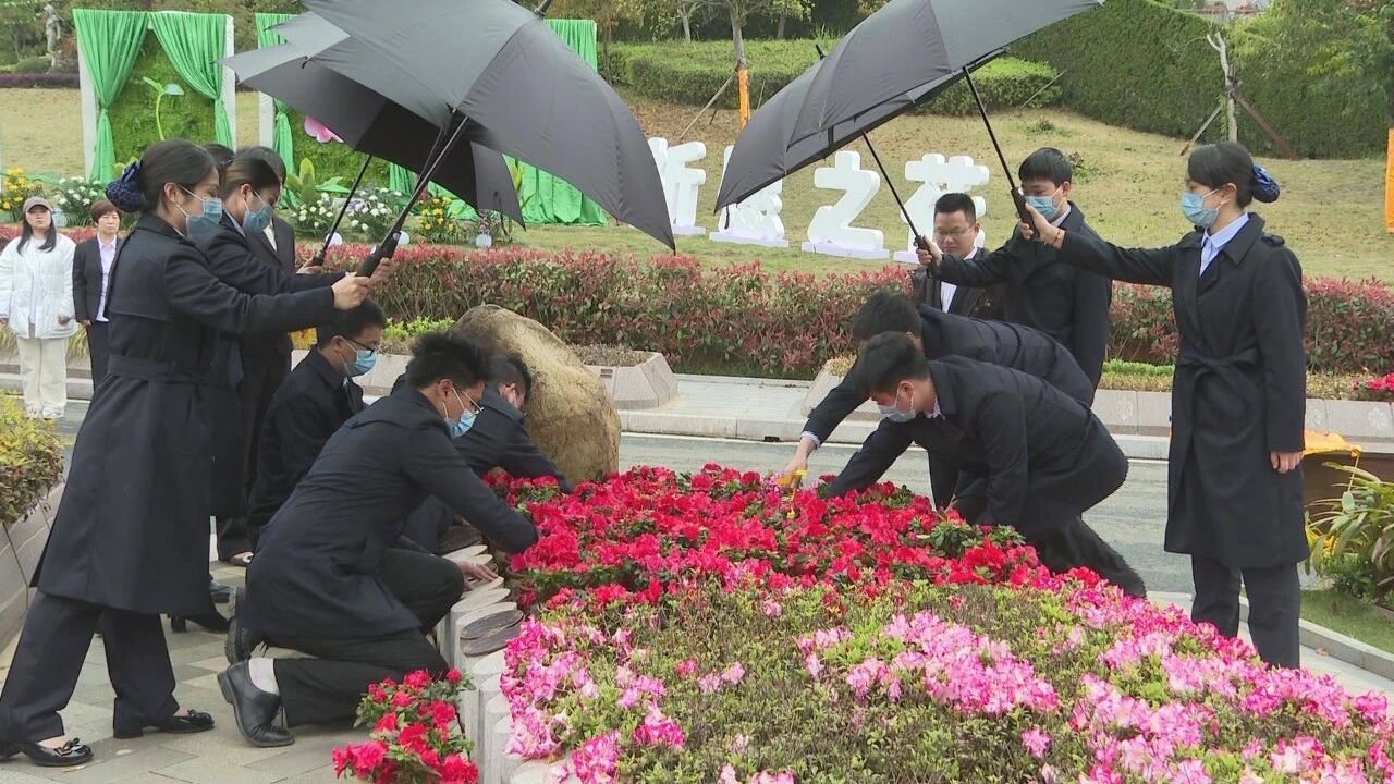 壹号娱乐 - NG大舞台,有梦你就来