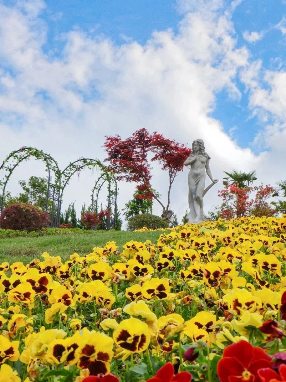 壹号娱乐 - NG大舞台,有梦你就来