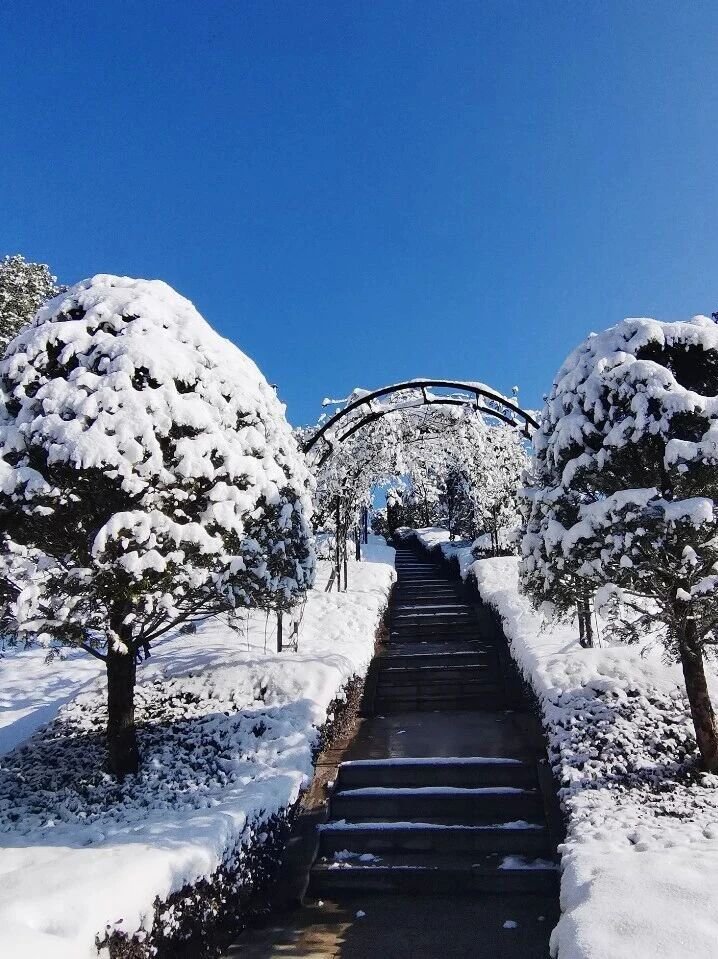 壹号娱乐 - NG大舞台,有梦你就来