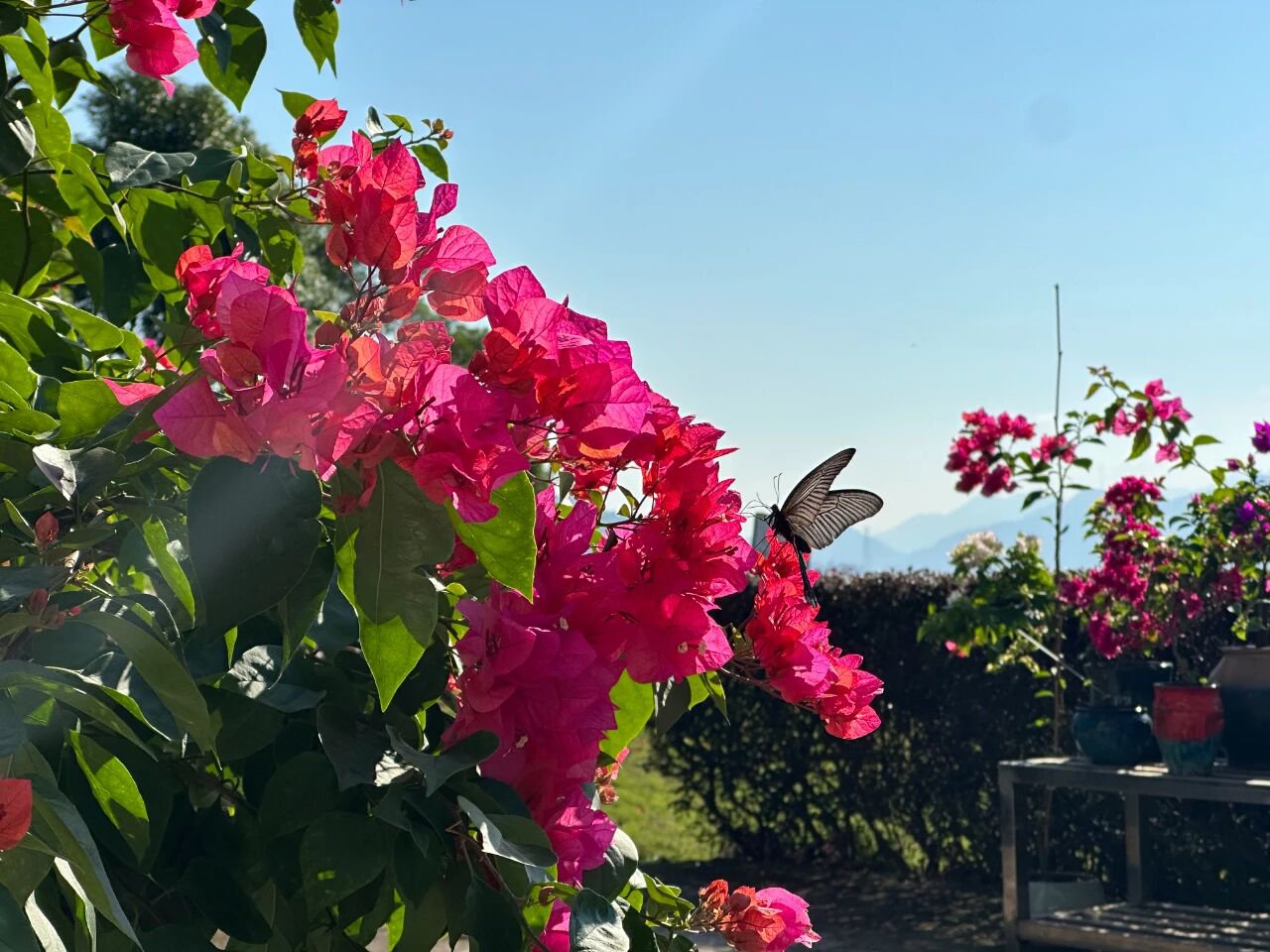 壹号娱乐 - NG大舞台,有梦你就来