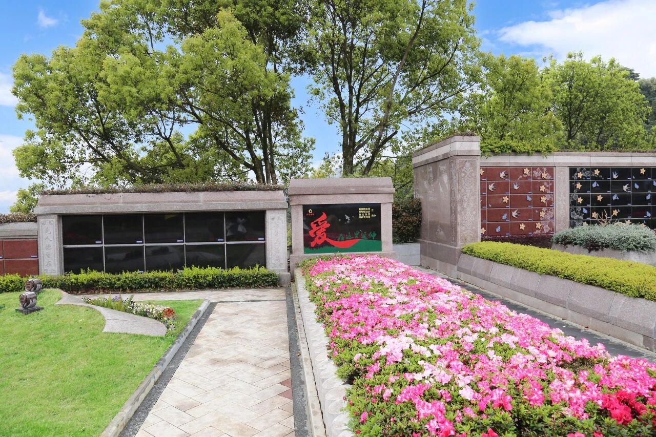 当留想，起头成长