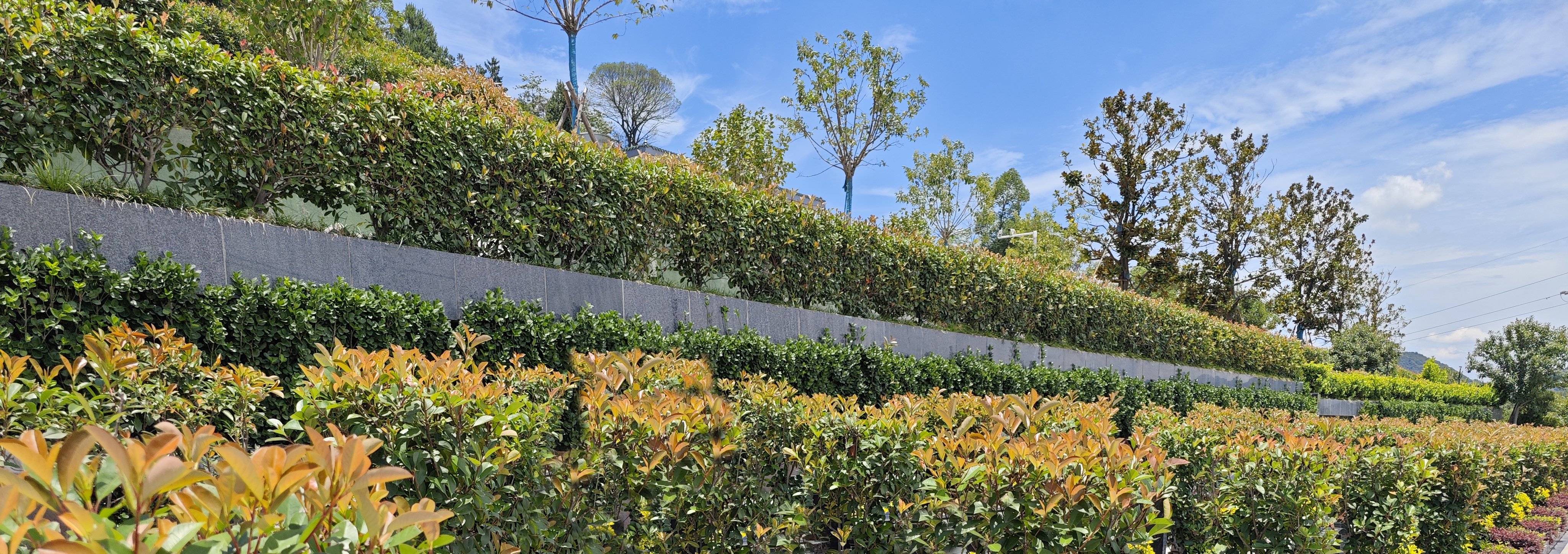 壹号娱乐 - NG大舞台,有梦你就来