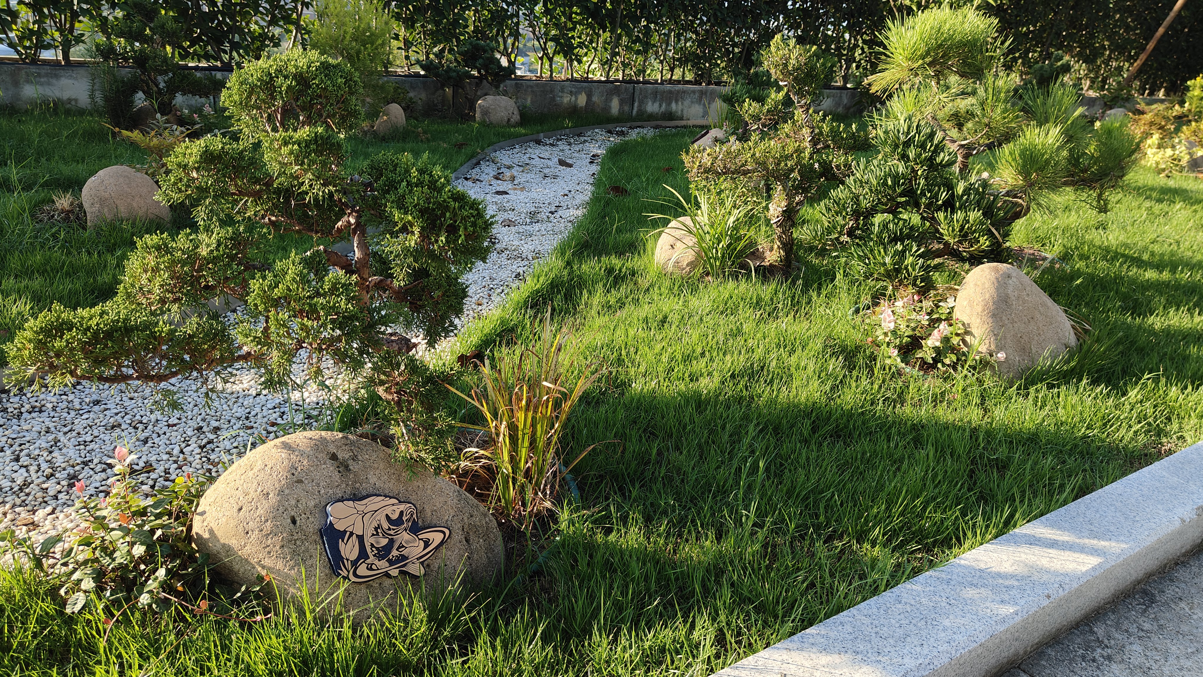 壹号娱乐 - NG大舞台,有梦你就来