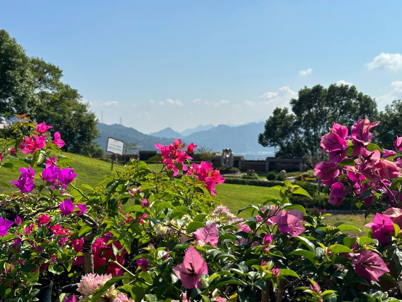 壹号娱乐 - NG大舞台,有梦你就来