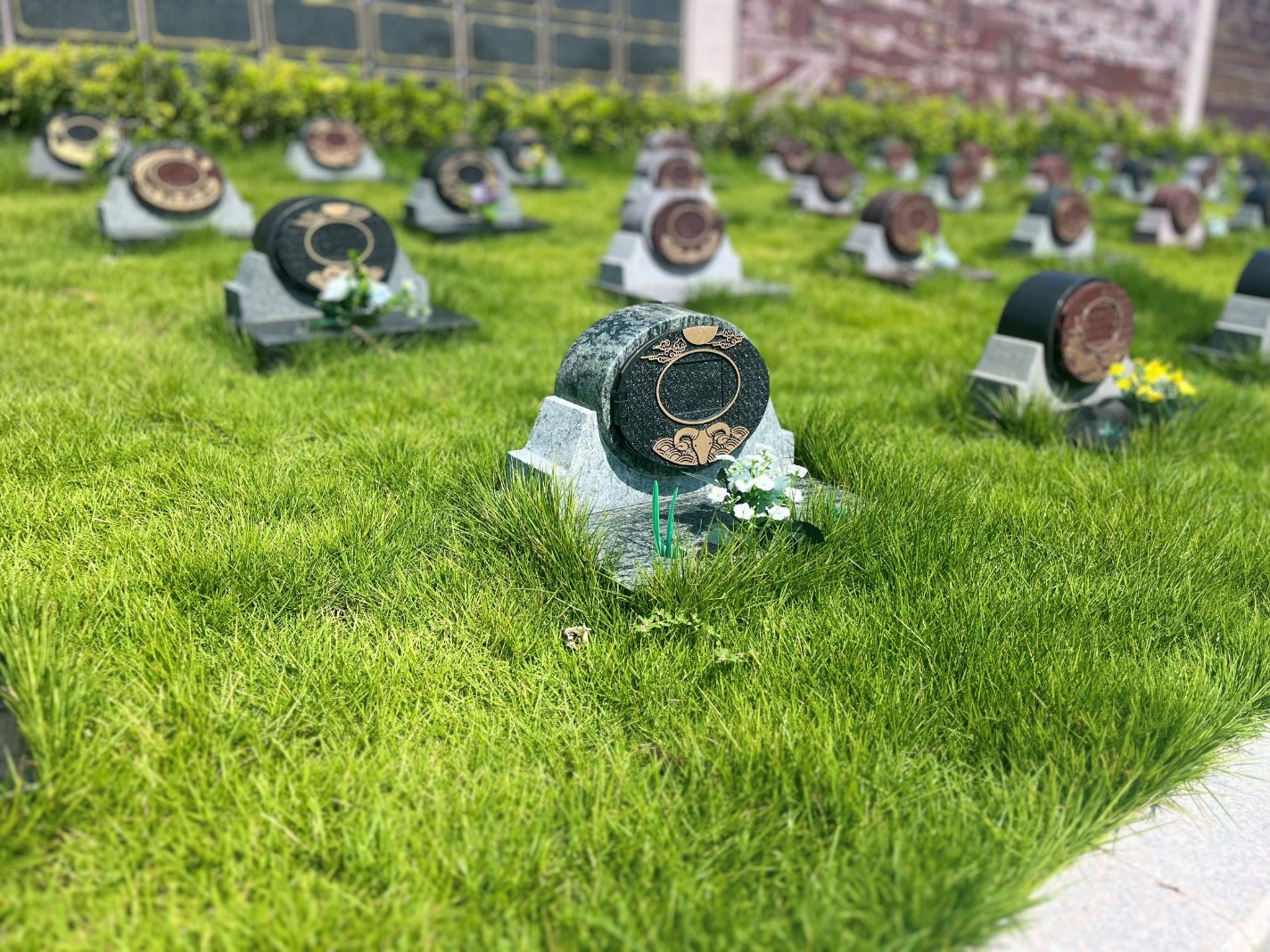 壹号娱乐 - NG大舞台,有梦你就来