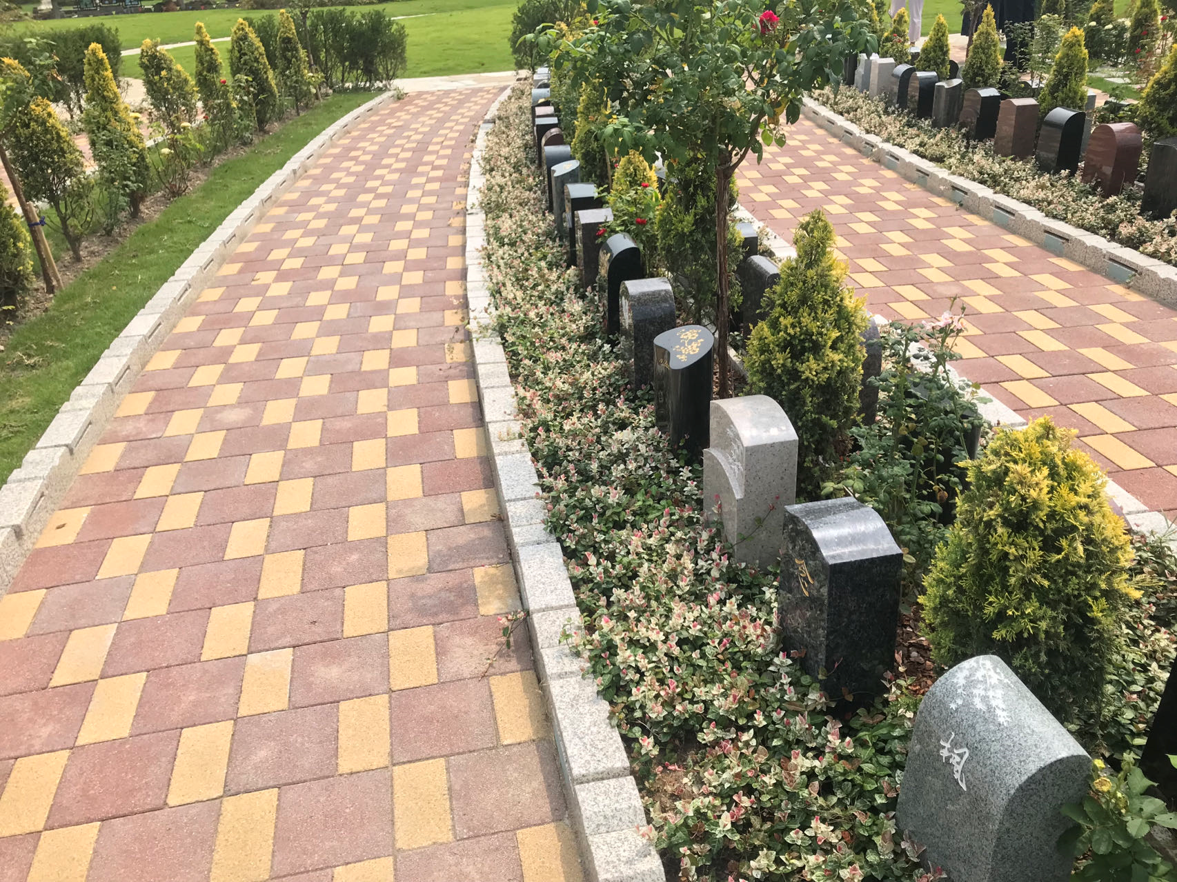 壹号娱乐 - NG大舞台,有梦你就来